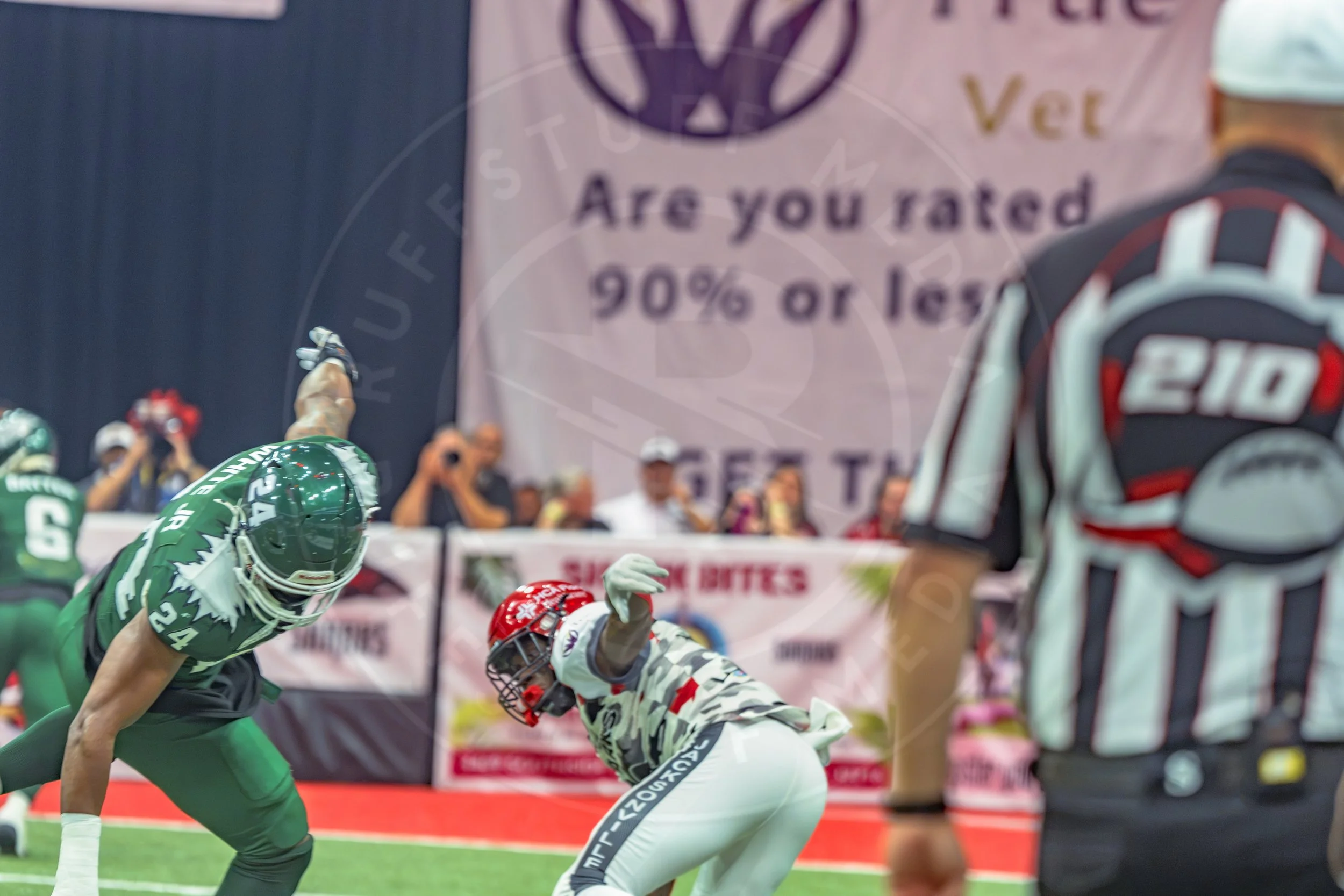 Sharks 260726-127.JPG