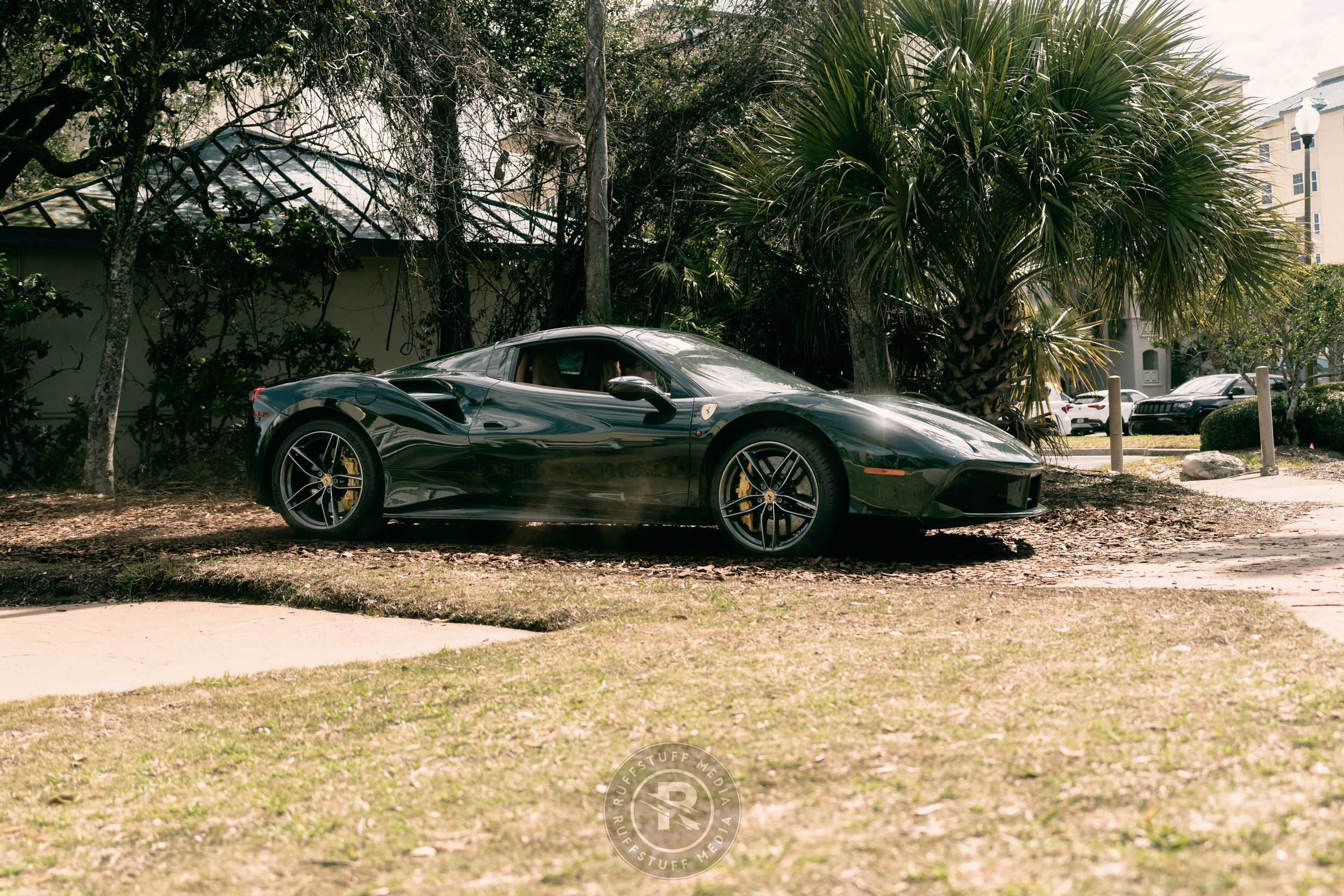 Amelia 260306-91_resize.JPG