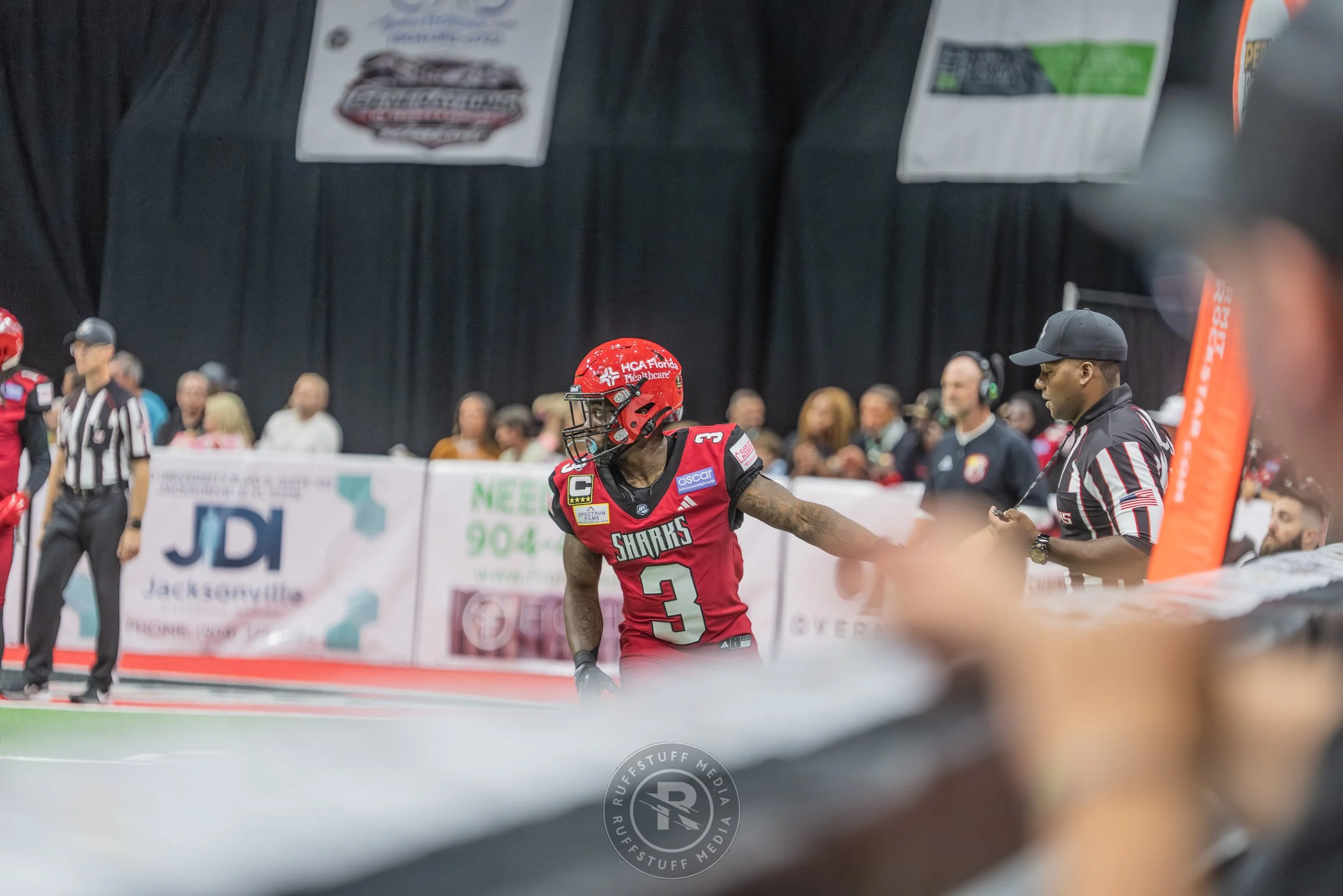 Sharks 260417-416.JPG