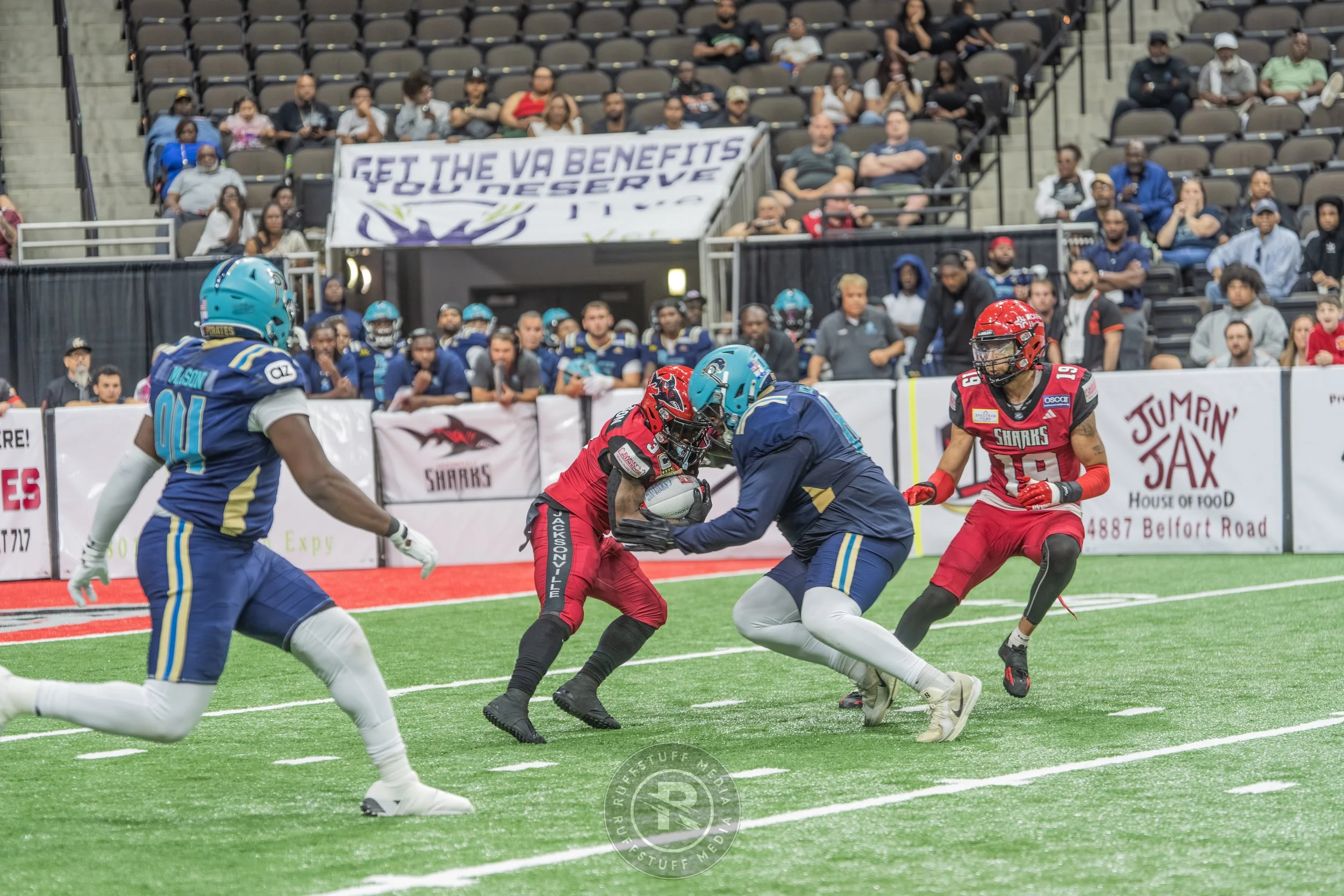 Sharks 260417-463.JPG