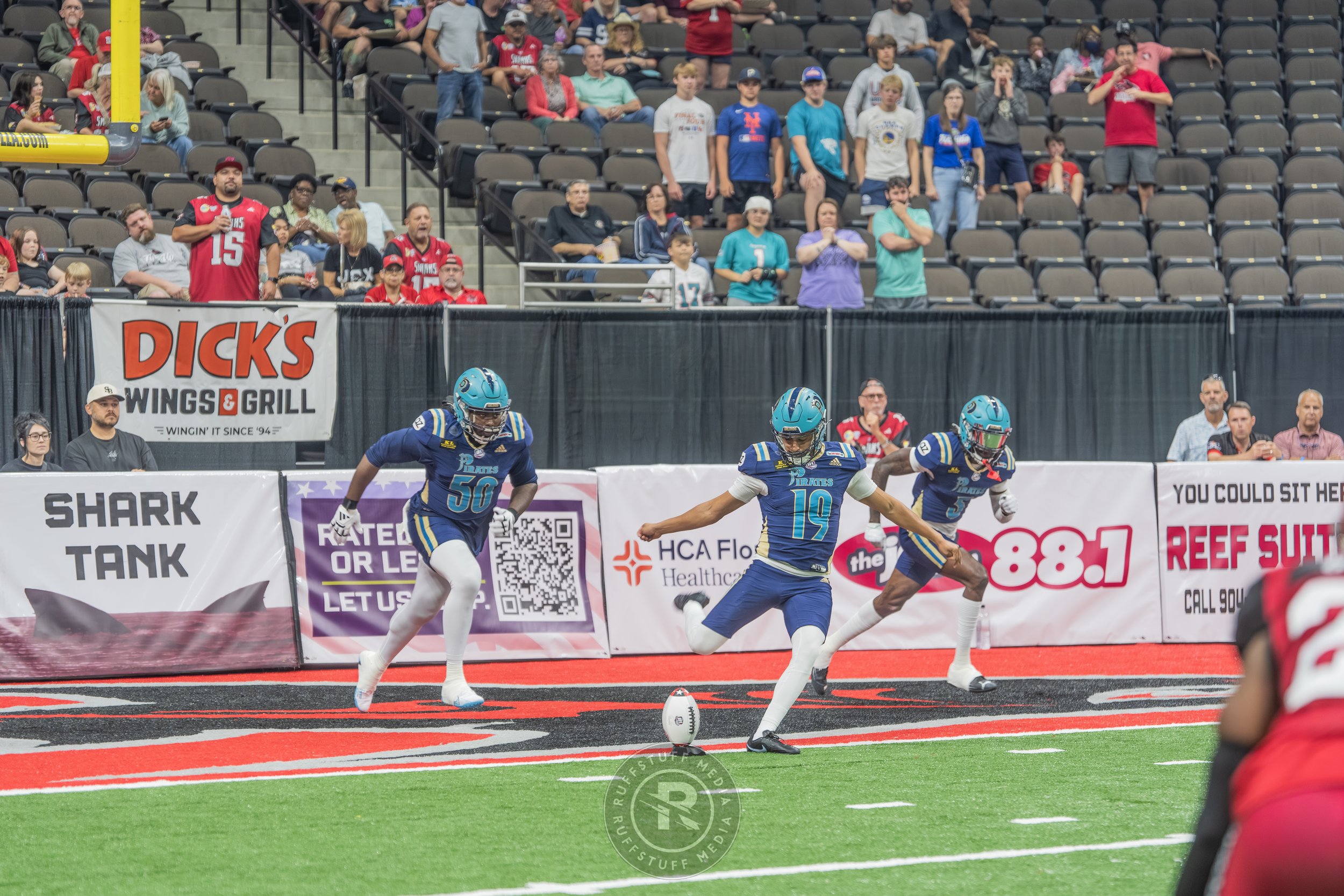 Sharks 260417-94.JPG