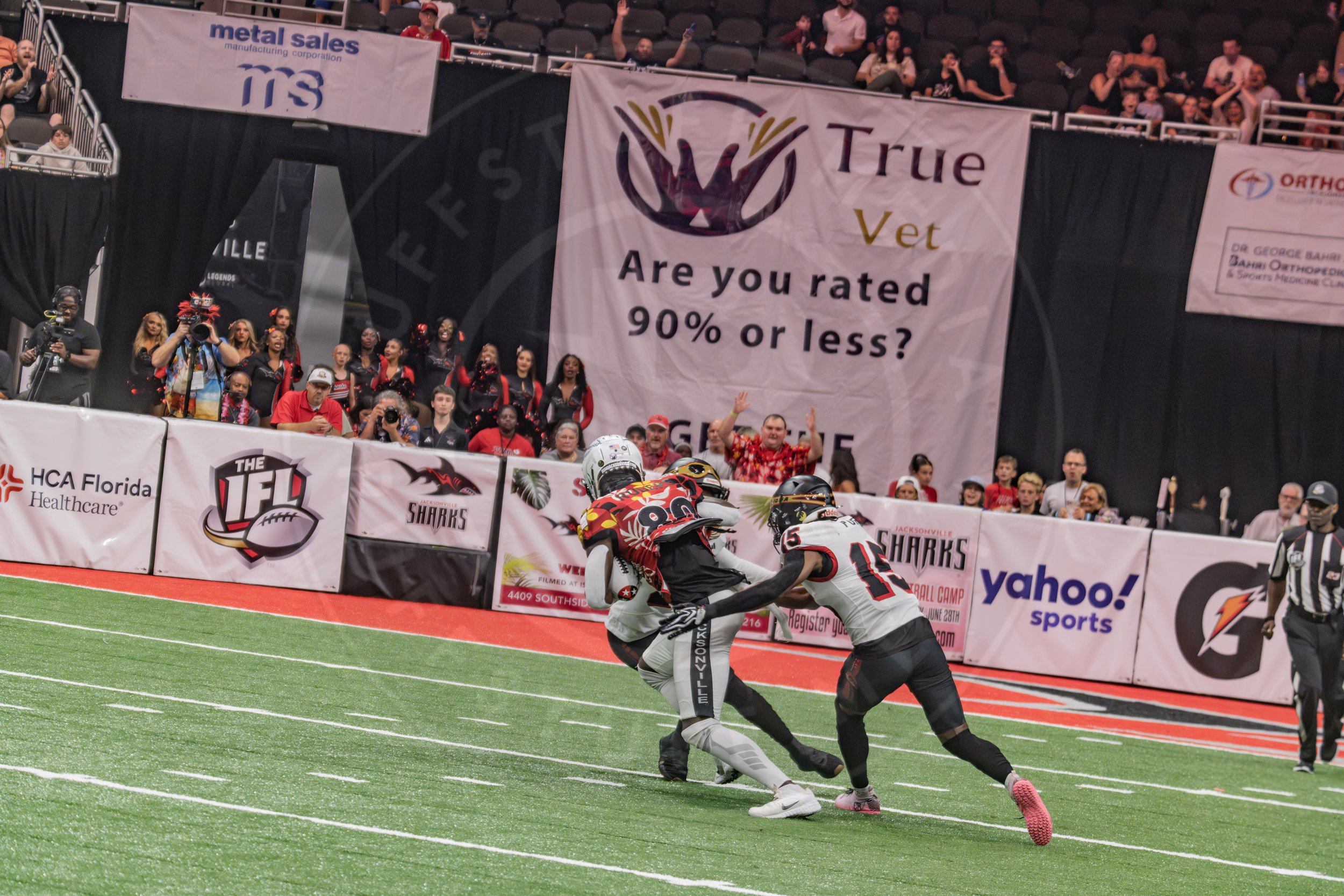 Sharks 260718-140.JPG