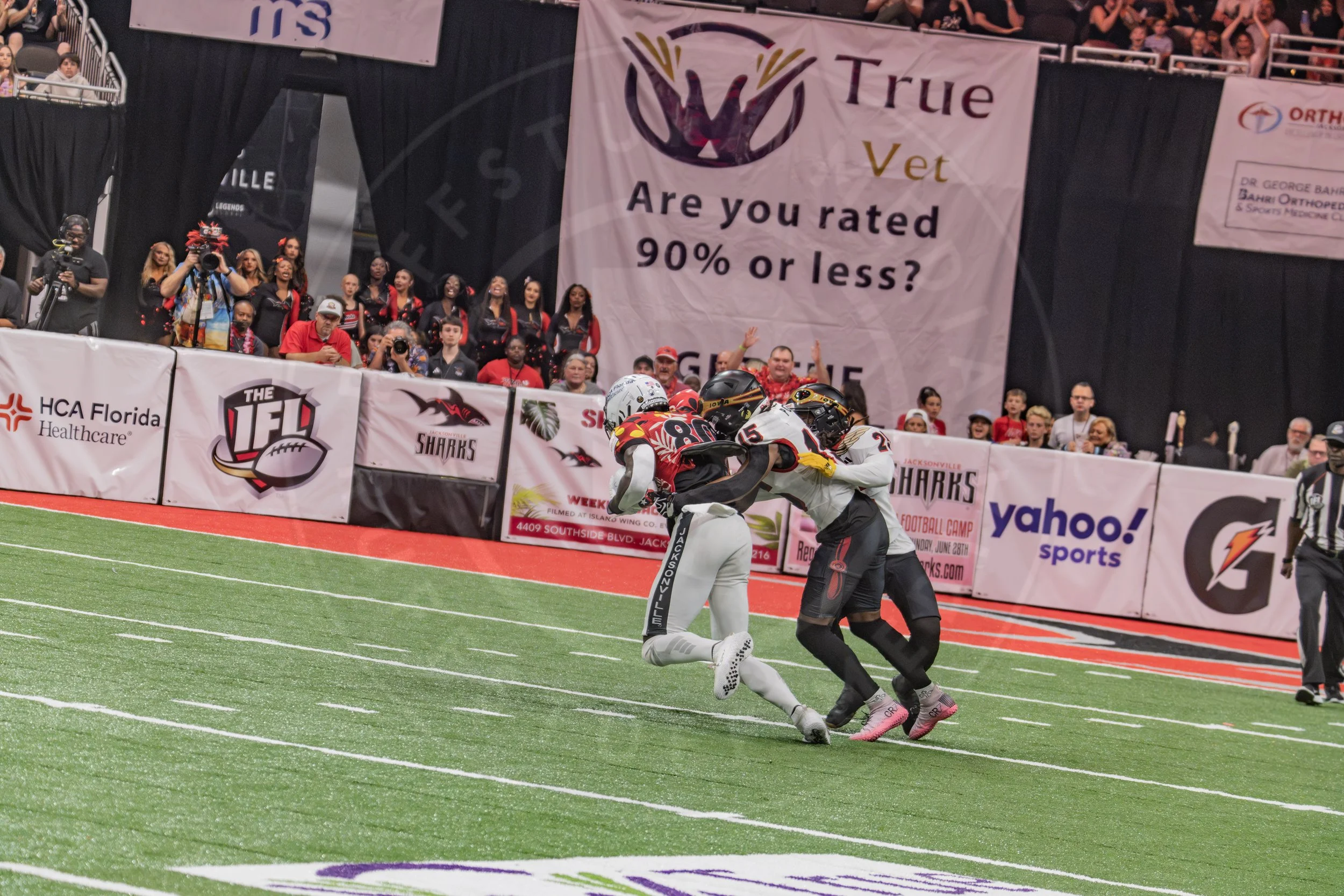 Sharks 260718-141.JPG