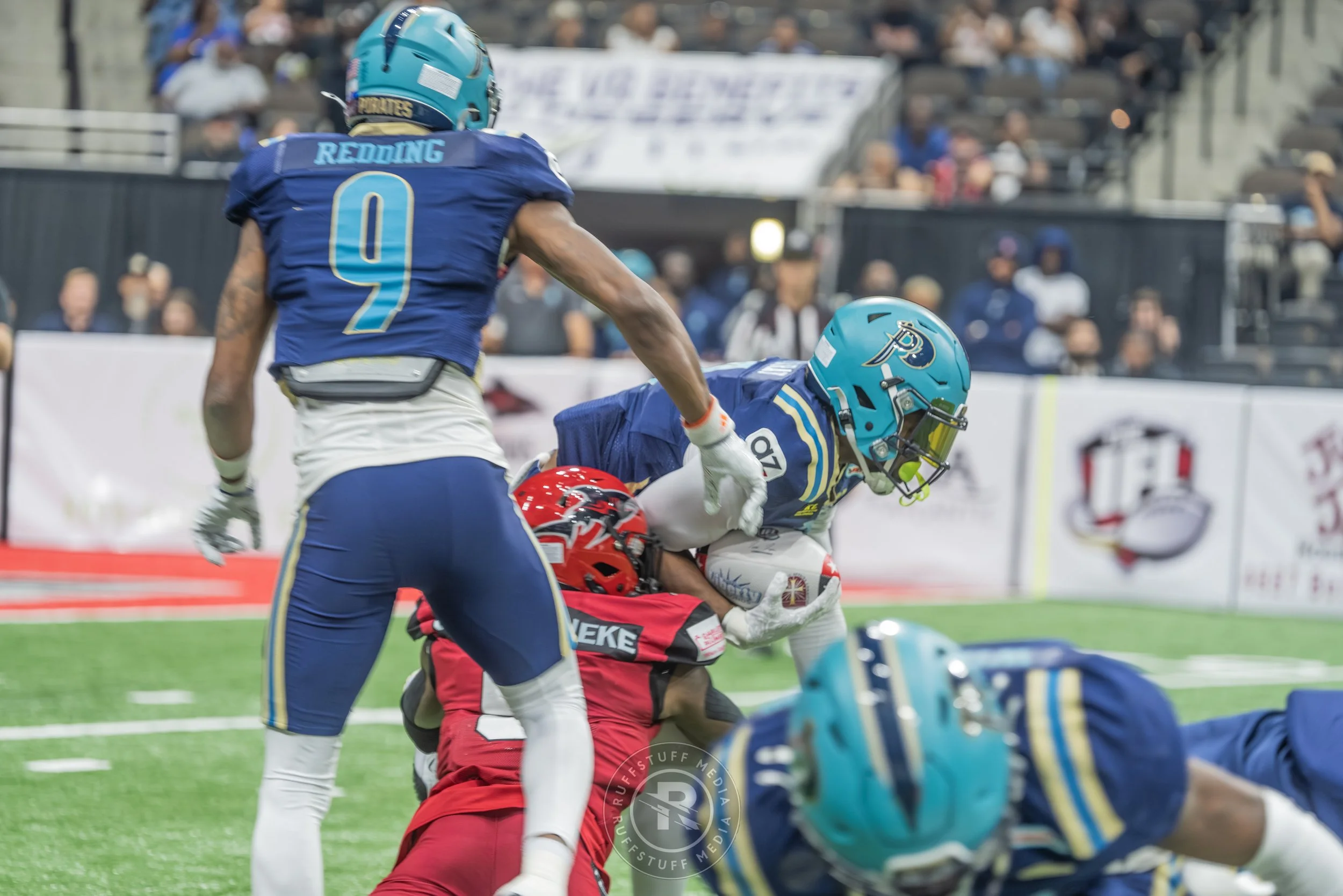 Sharks 260417-114.JPG