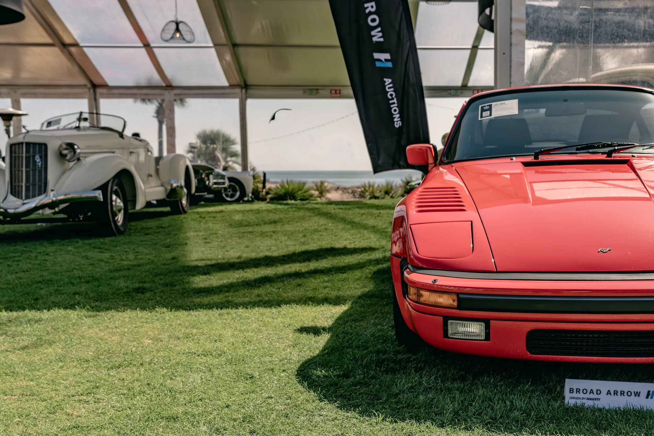 IG-Amelia 260305-21.JPG