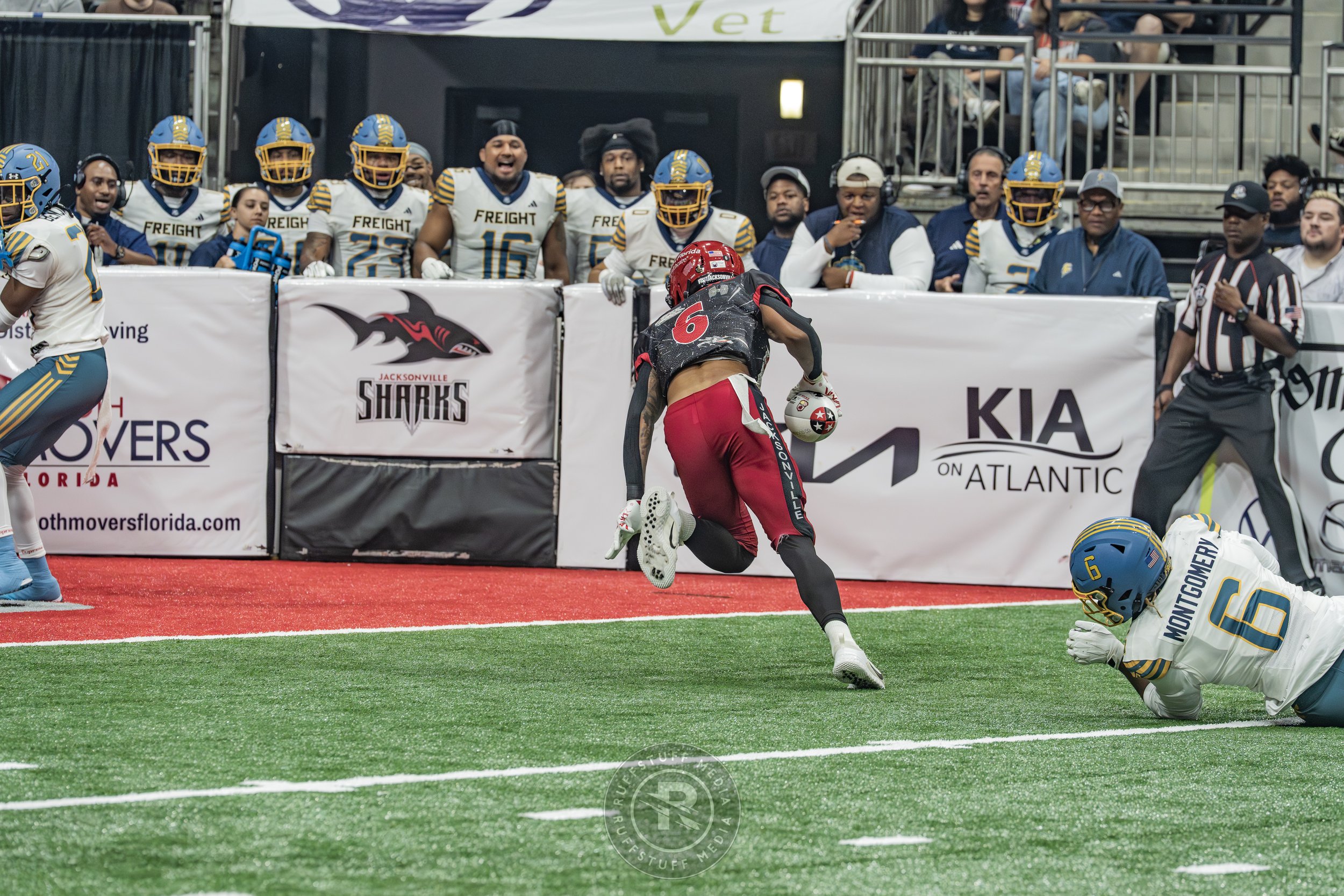 Sharks 260530-206.JPG