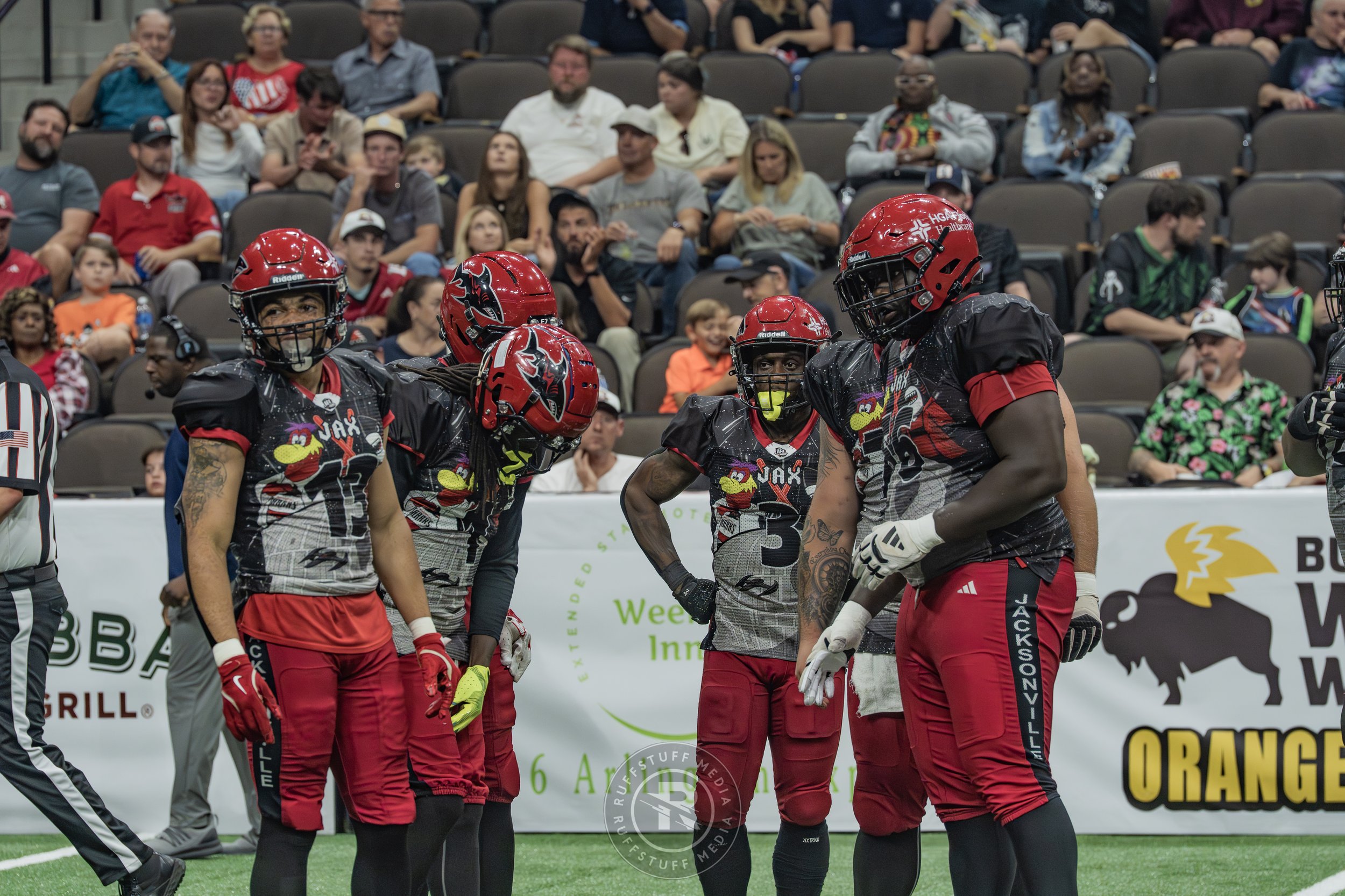 Sharks 260530-327.JPG