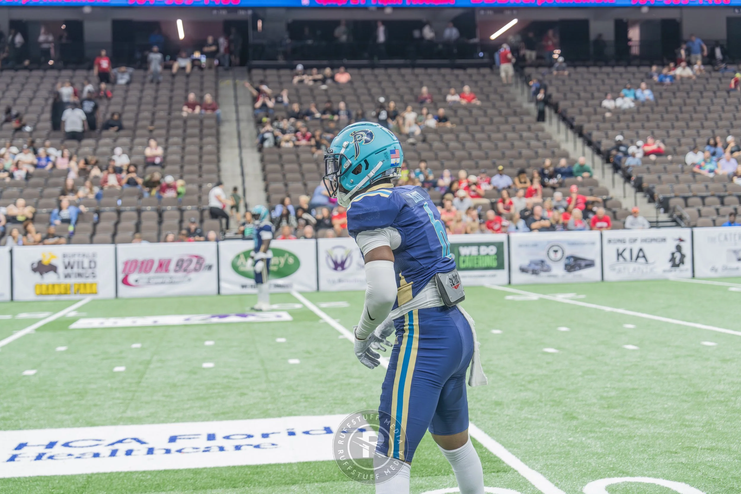 Sharks 260417-415_resize.JPG