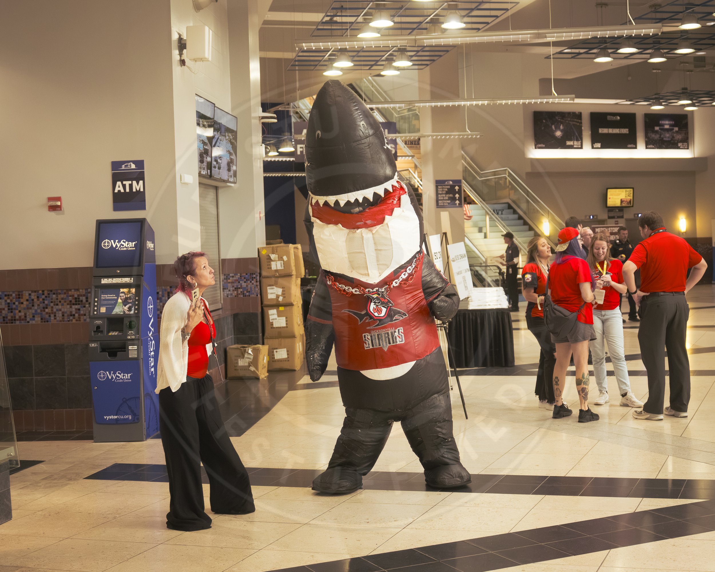 Sharks 260801-1.JPG