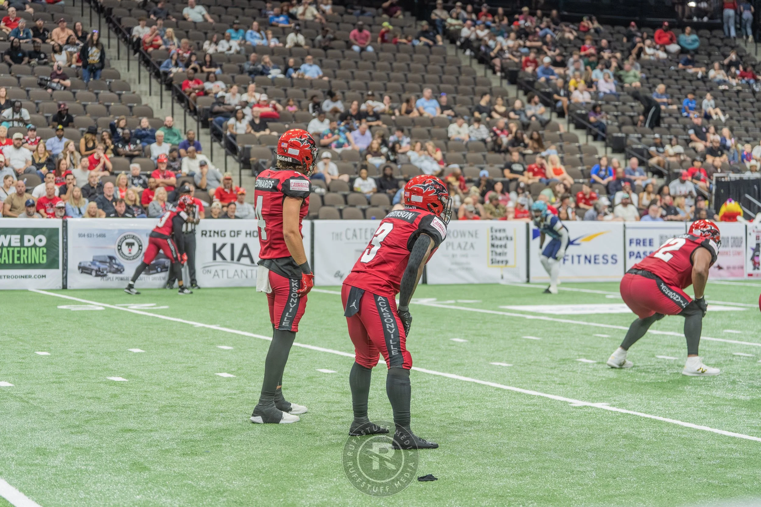 Sharks 260417-509_resize.JPG