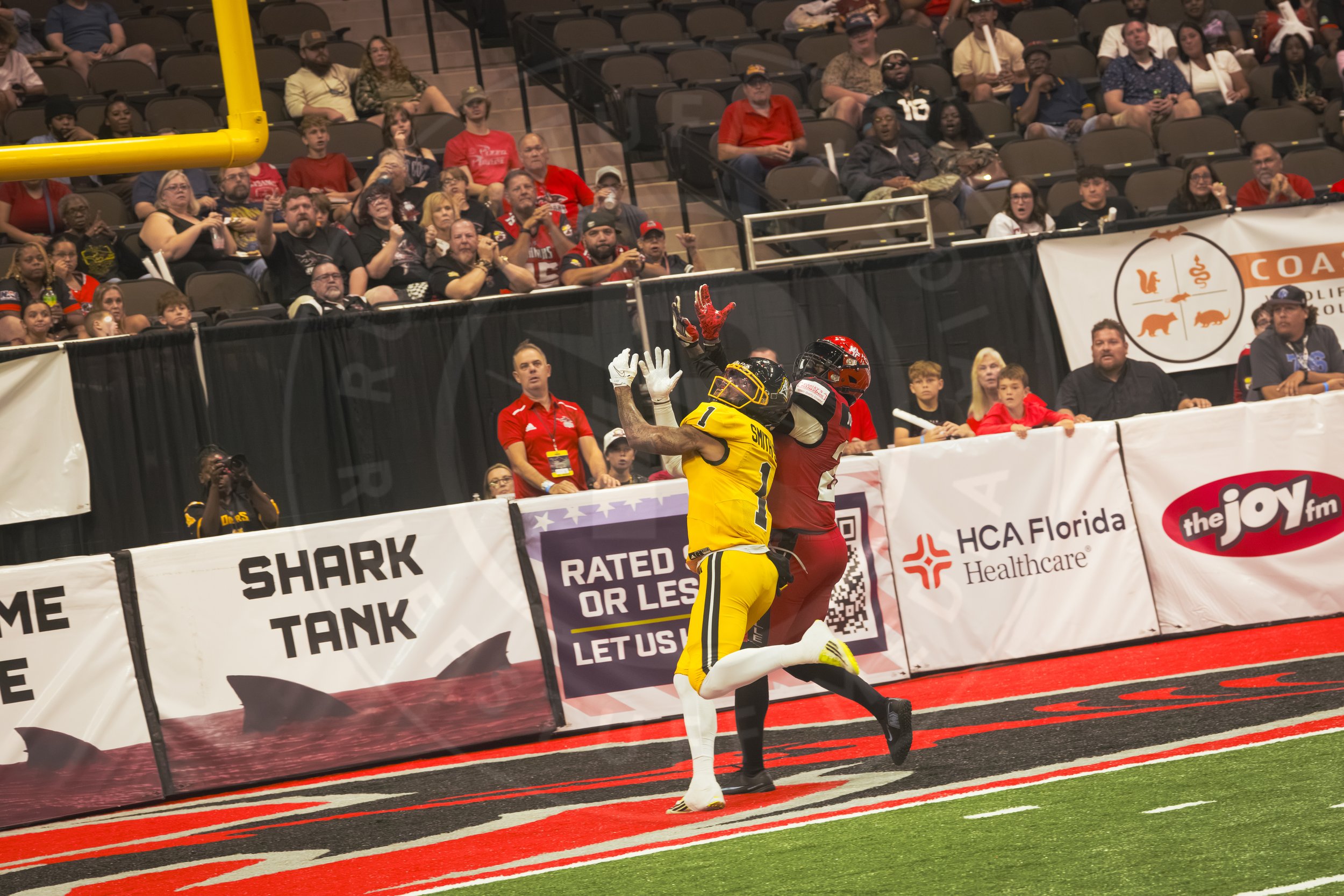 Sharks 260801-86.JPG