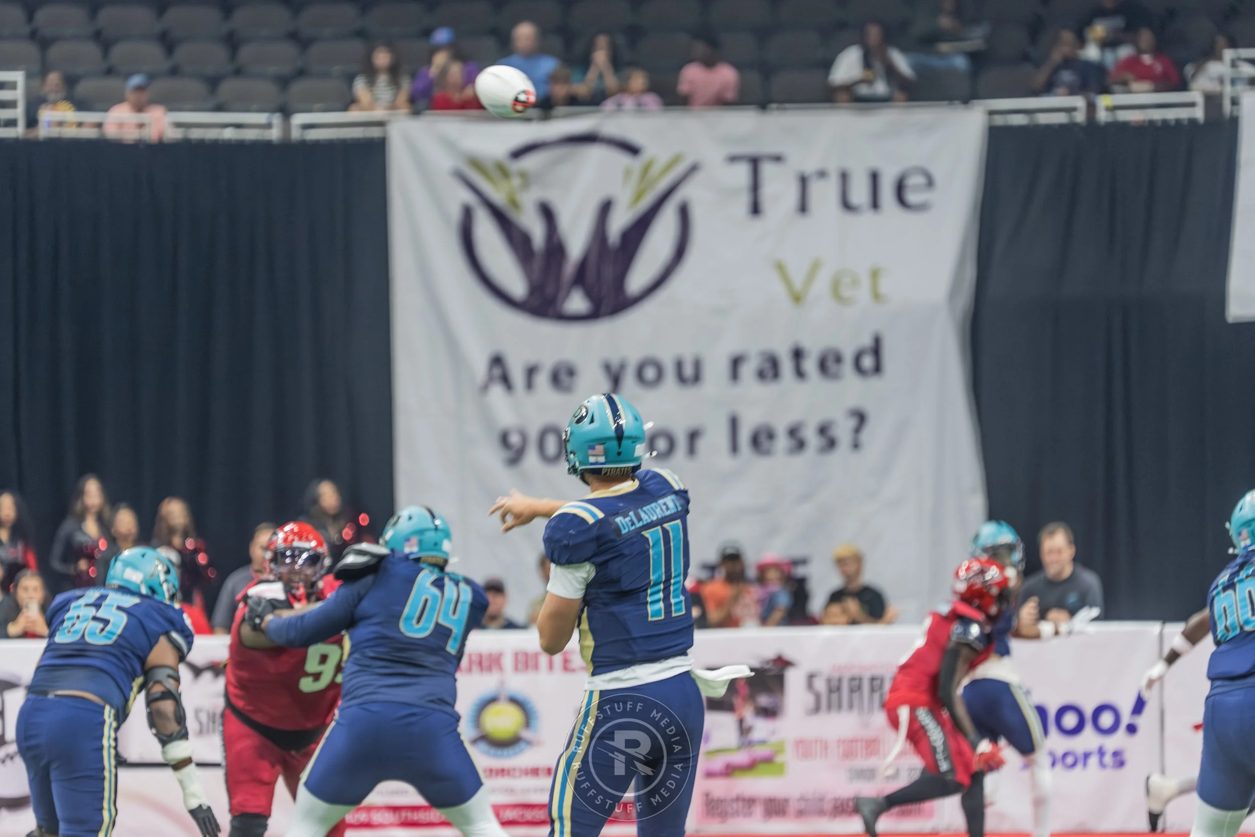 Sharks 260417-135.JPG