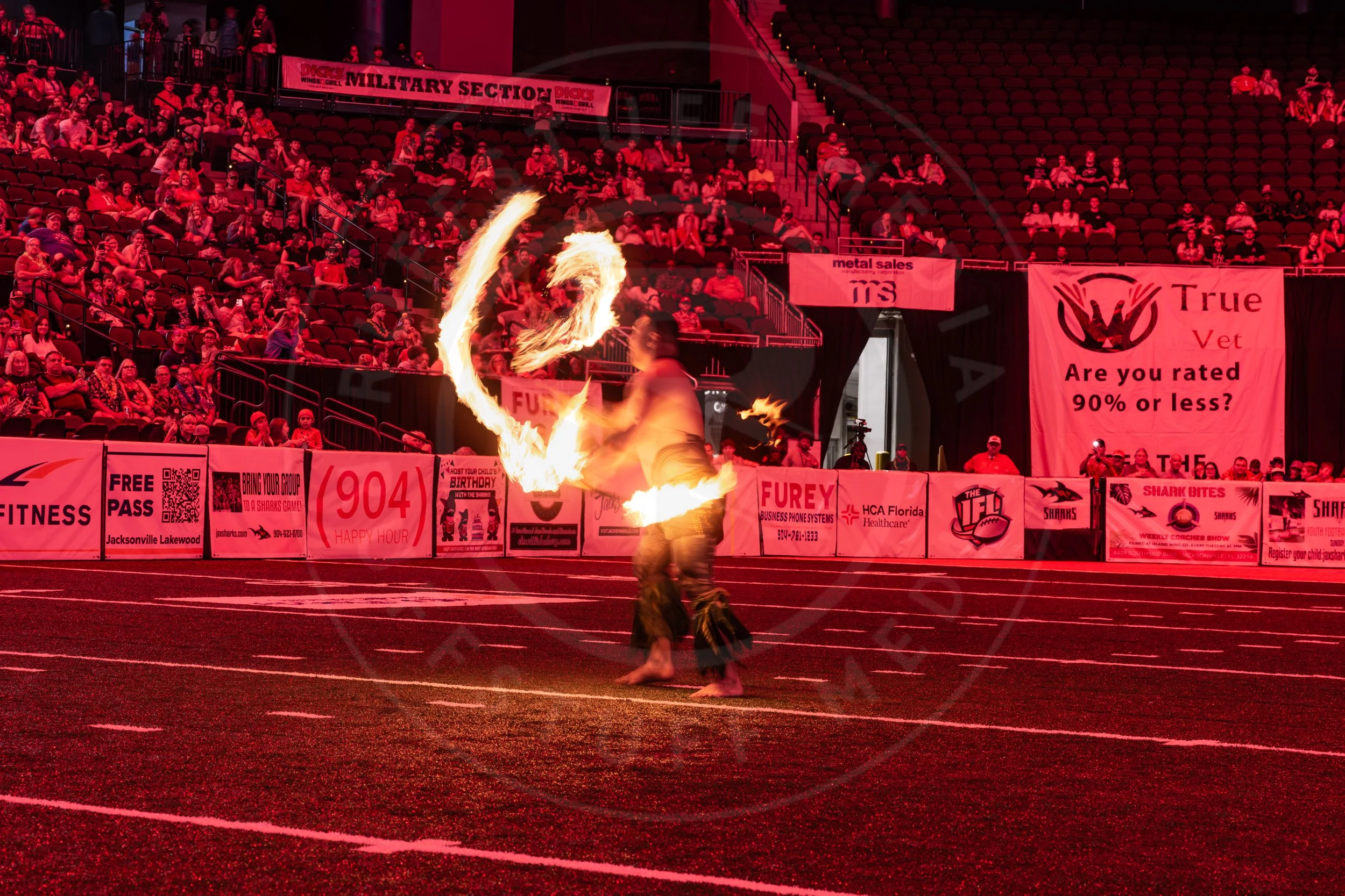 Sharks 260718-204.JPG