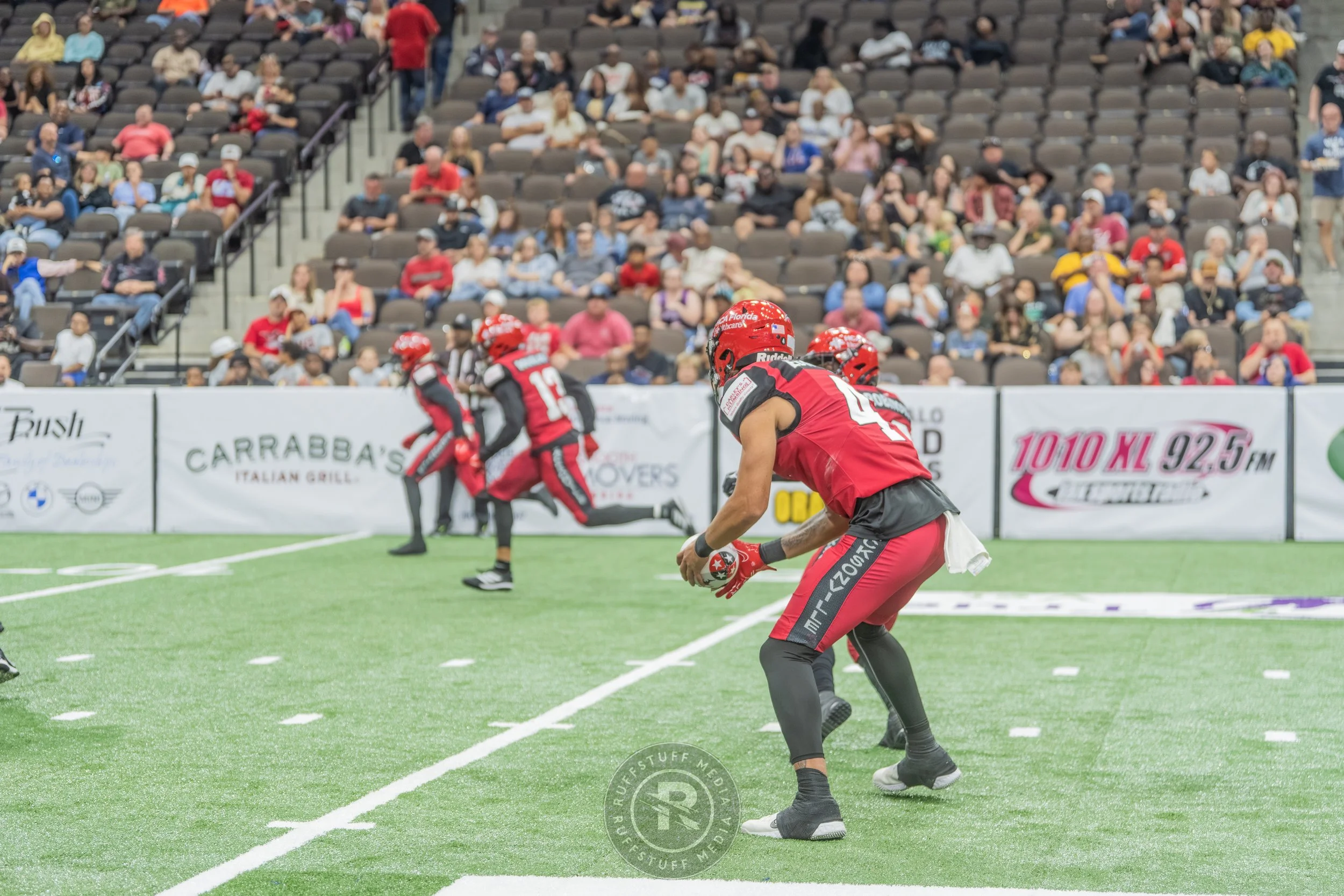 Sharks 260417-447.JPG