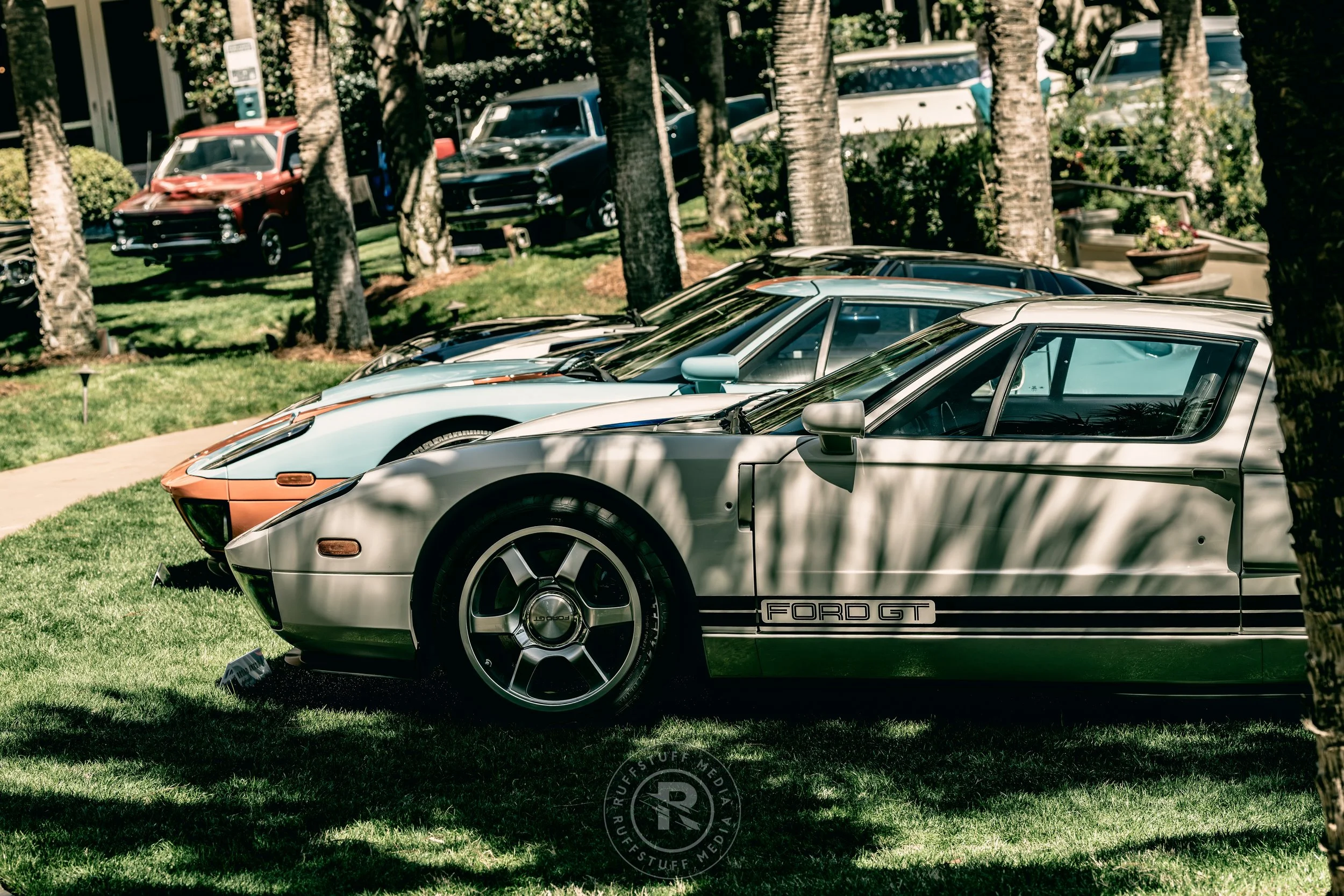 Amelia 260305-50_resize.JPG