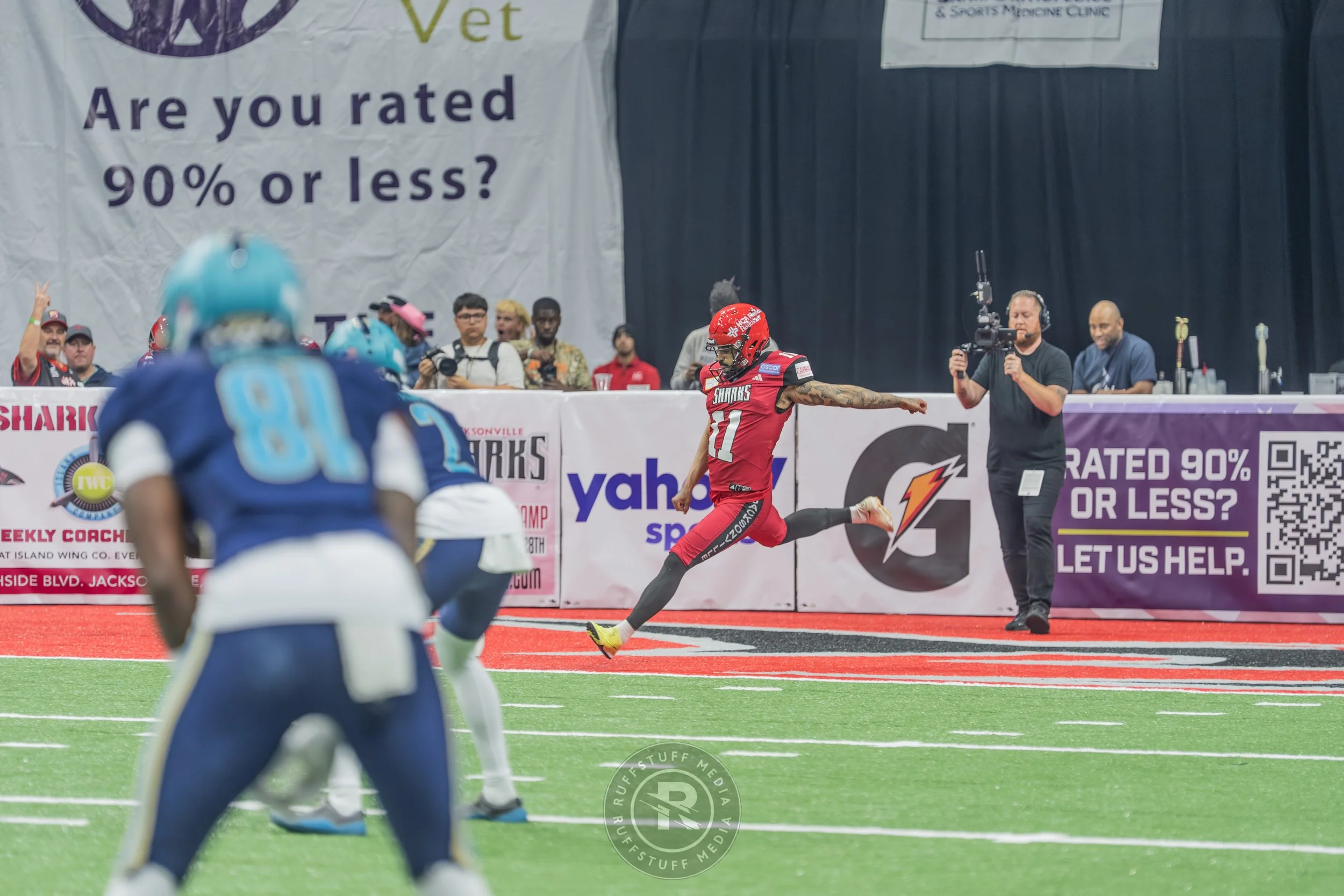 Sharks 260417-106.JPG