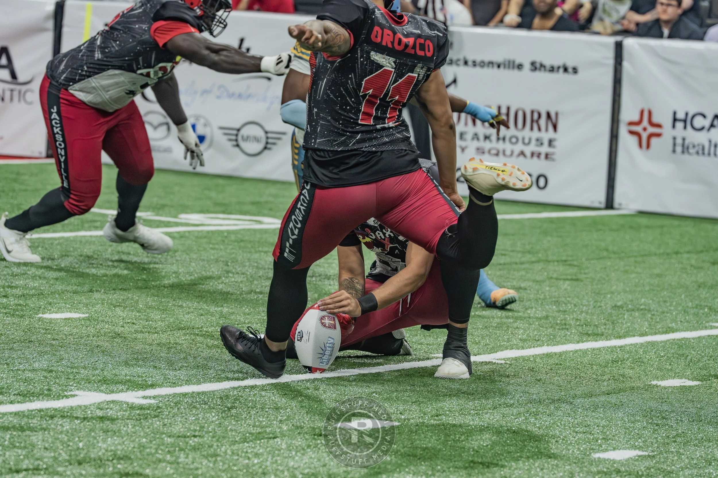 Sharks 260530-218.JPG