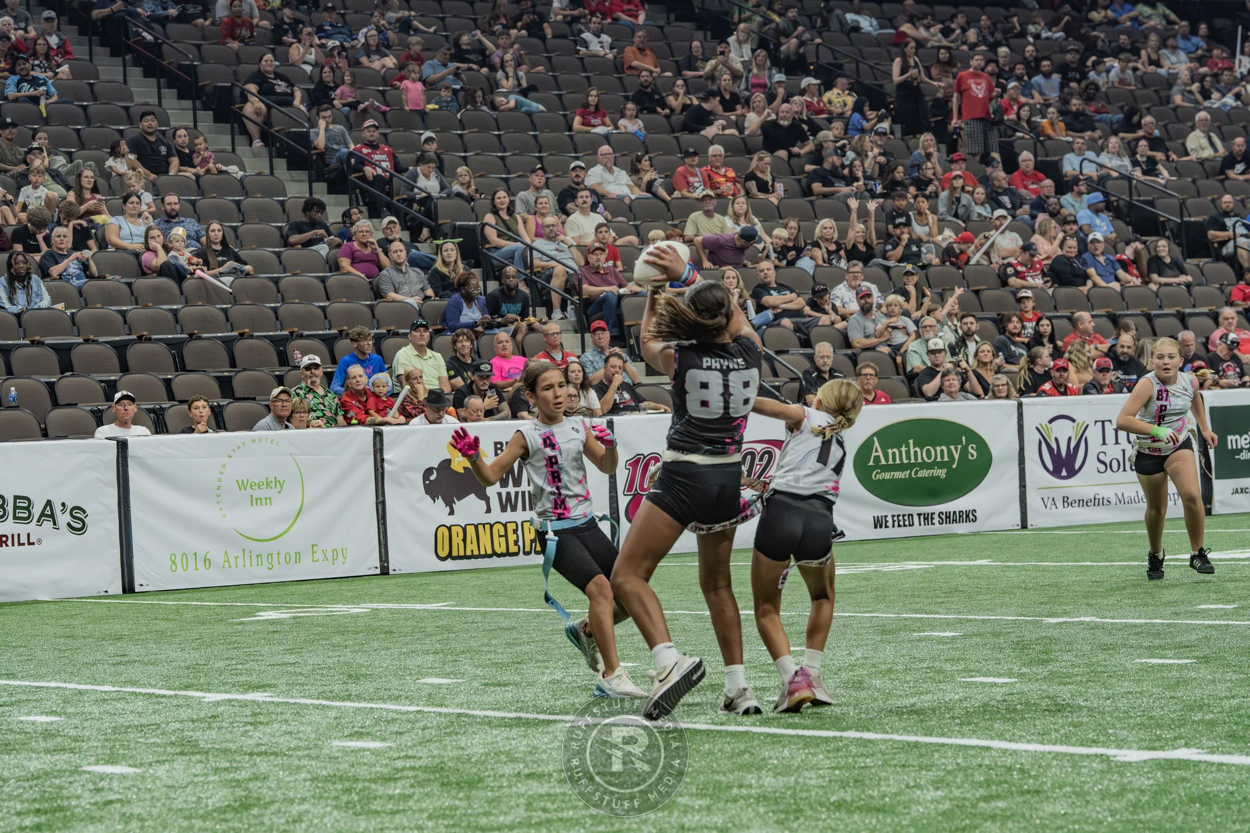Sharks 260530-413.JPG