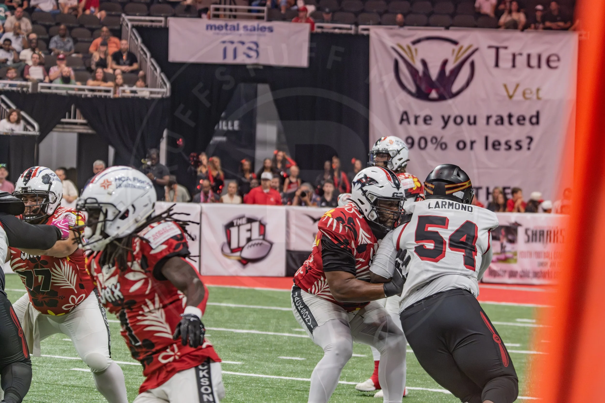 Sharks 260718-65.JPG