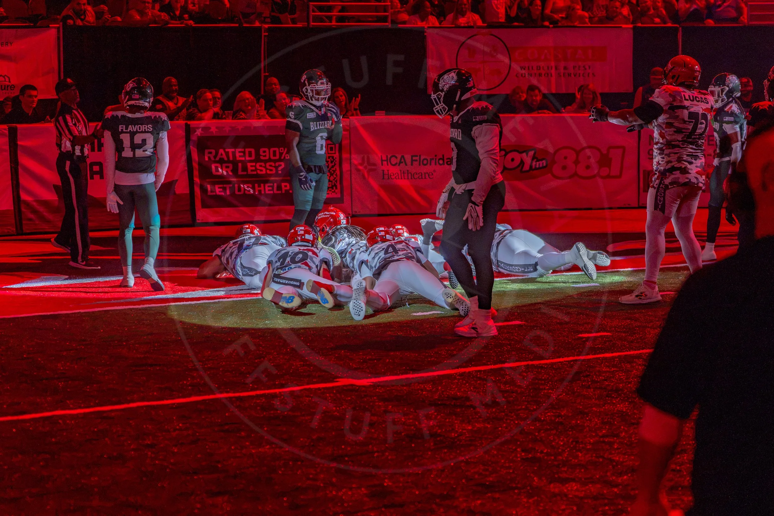 Sharks 260726-106.JPG