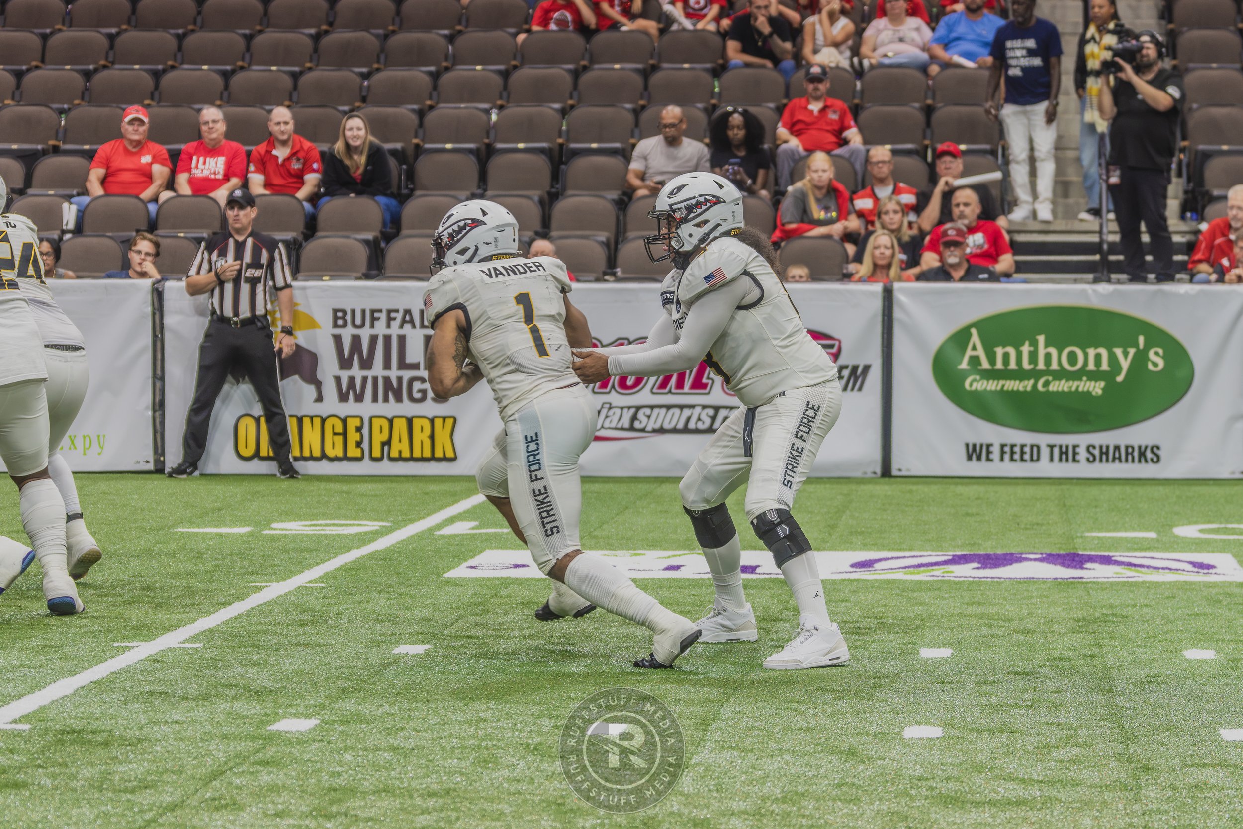 Sharks 260628-668.JPG