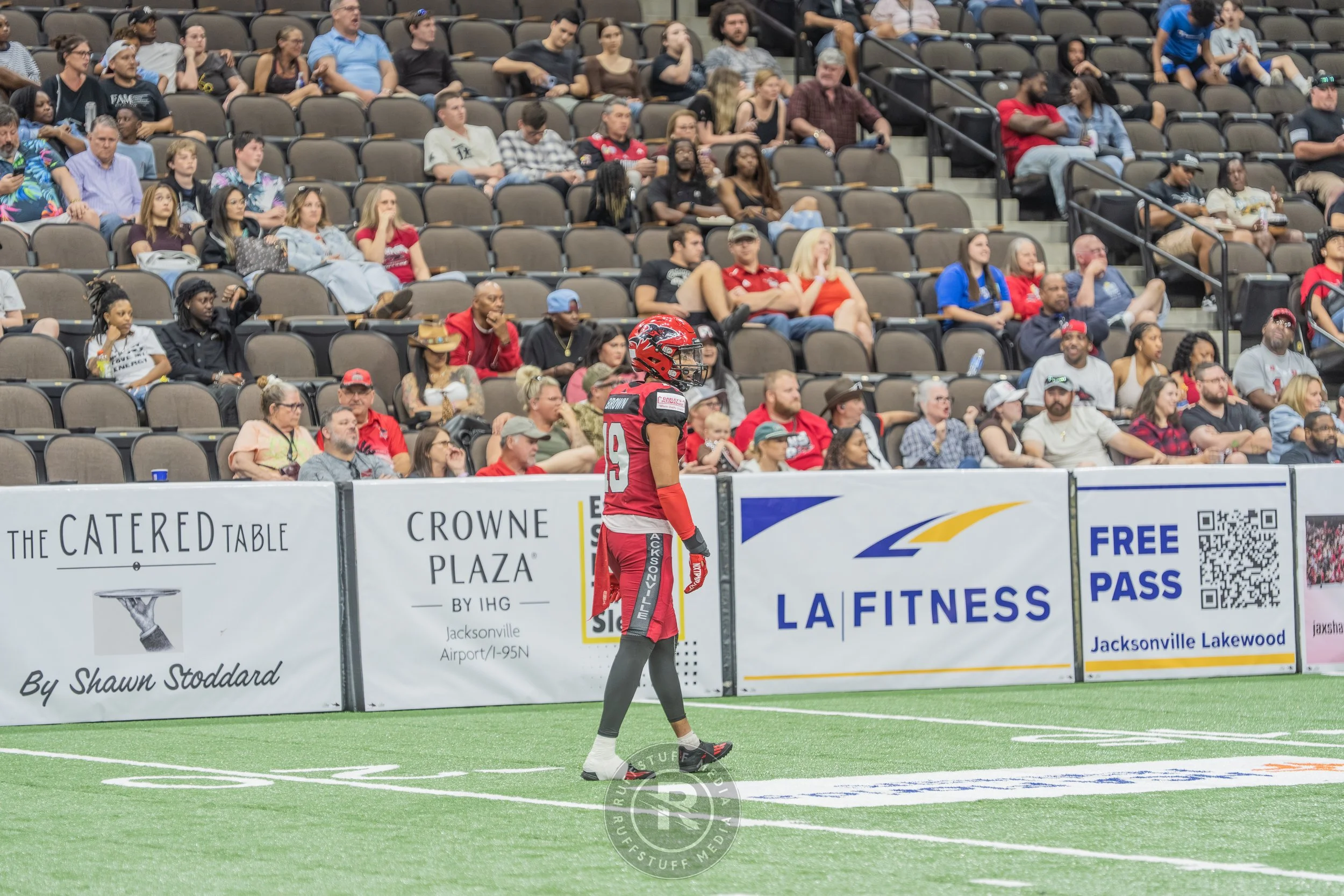 Sharks 260417-456.JPG