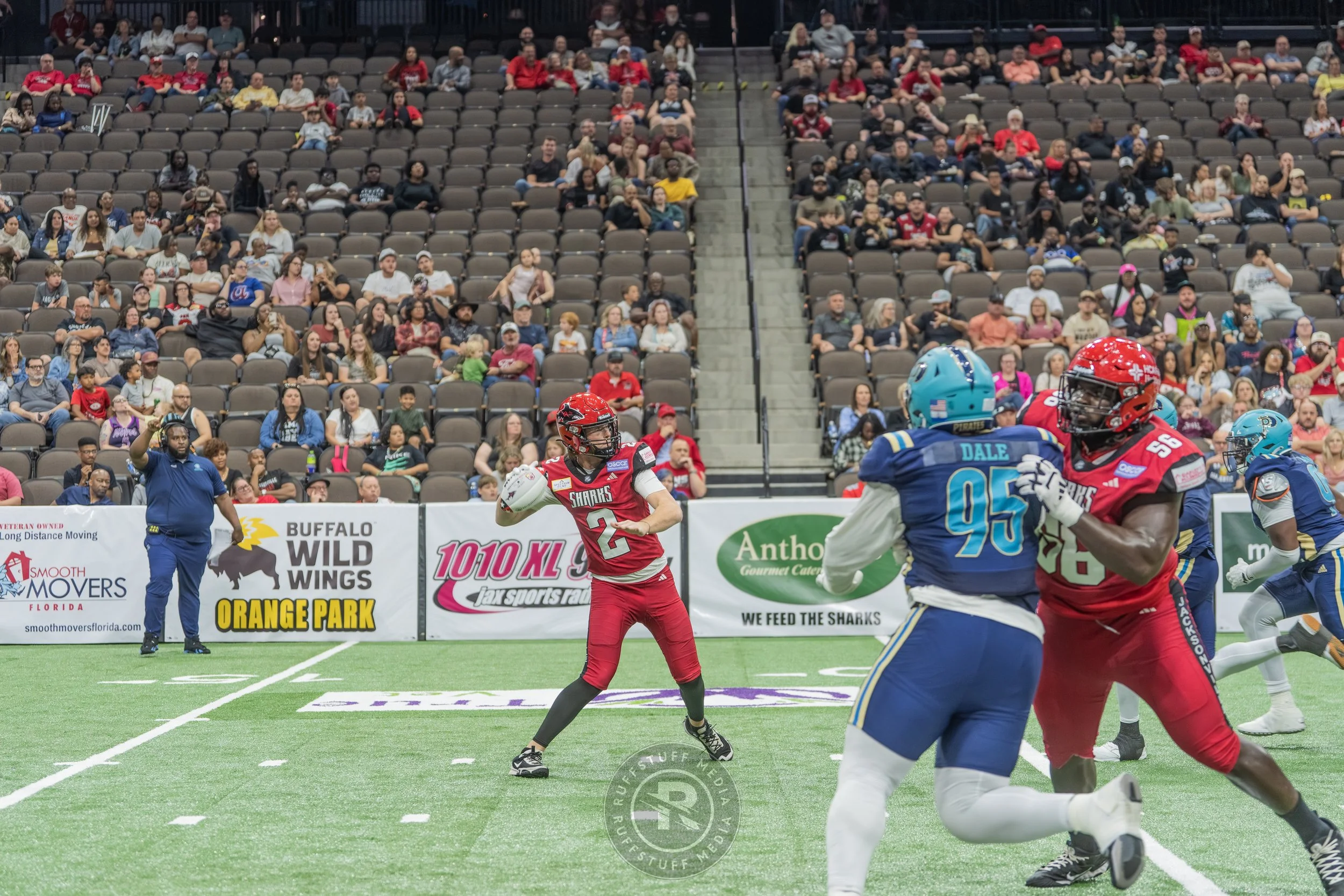 Sharks 260417-500_resize.JPG