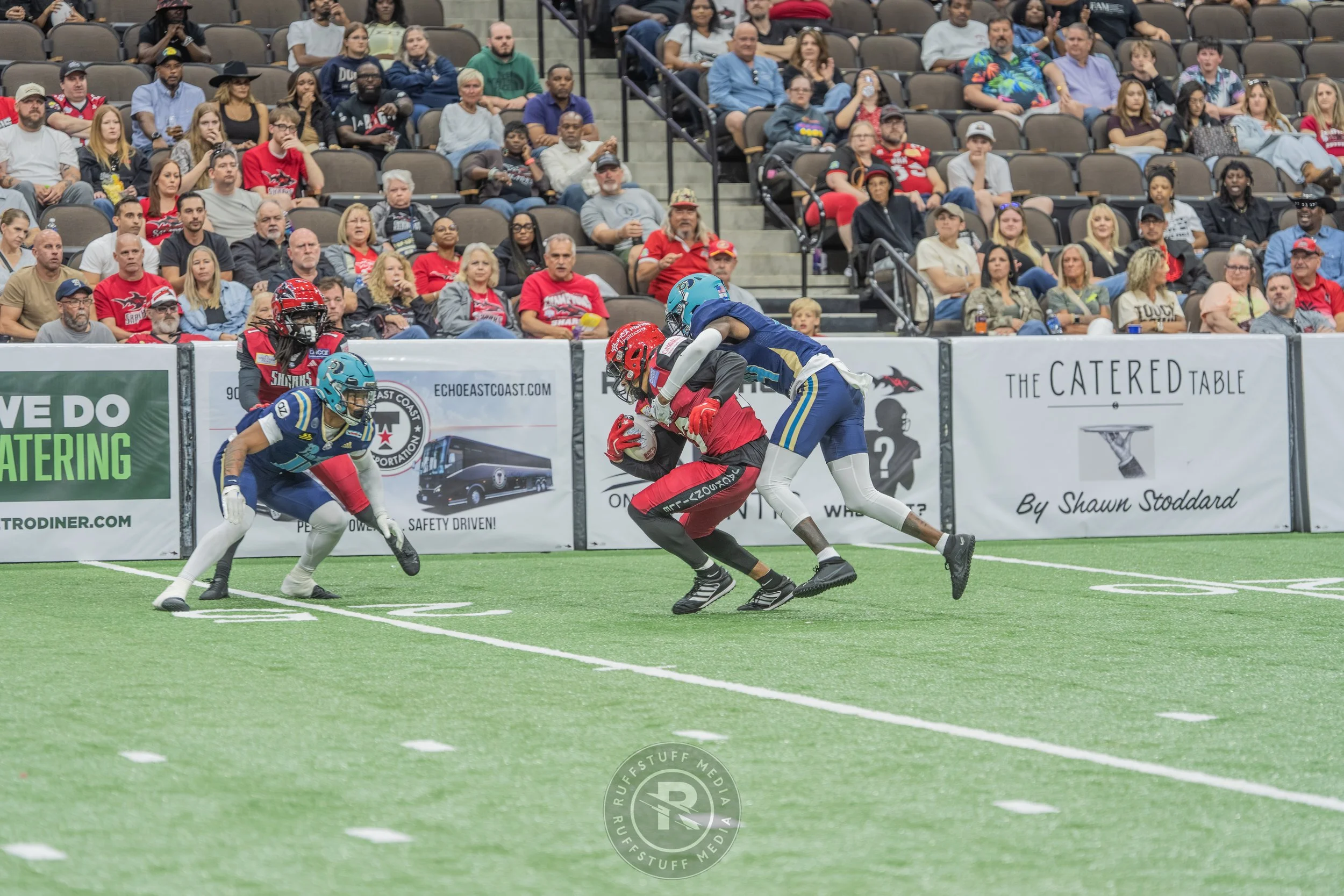 Sharks 260417-421.JPG