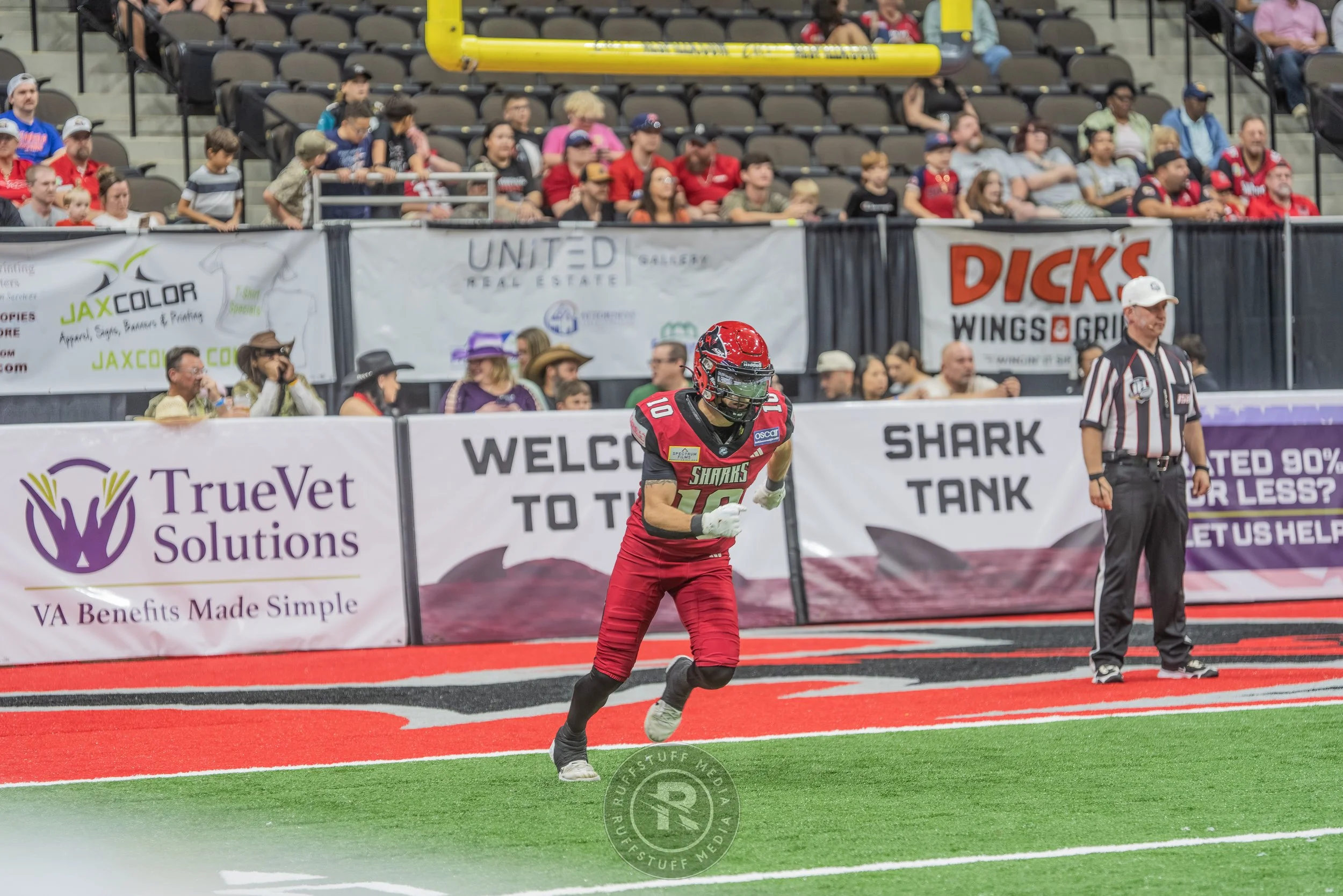 Sharks 260417-467.JPG