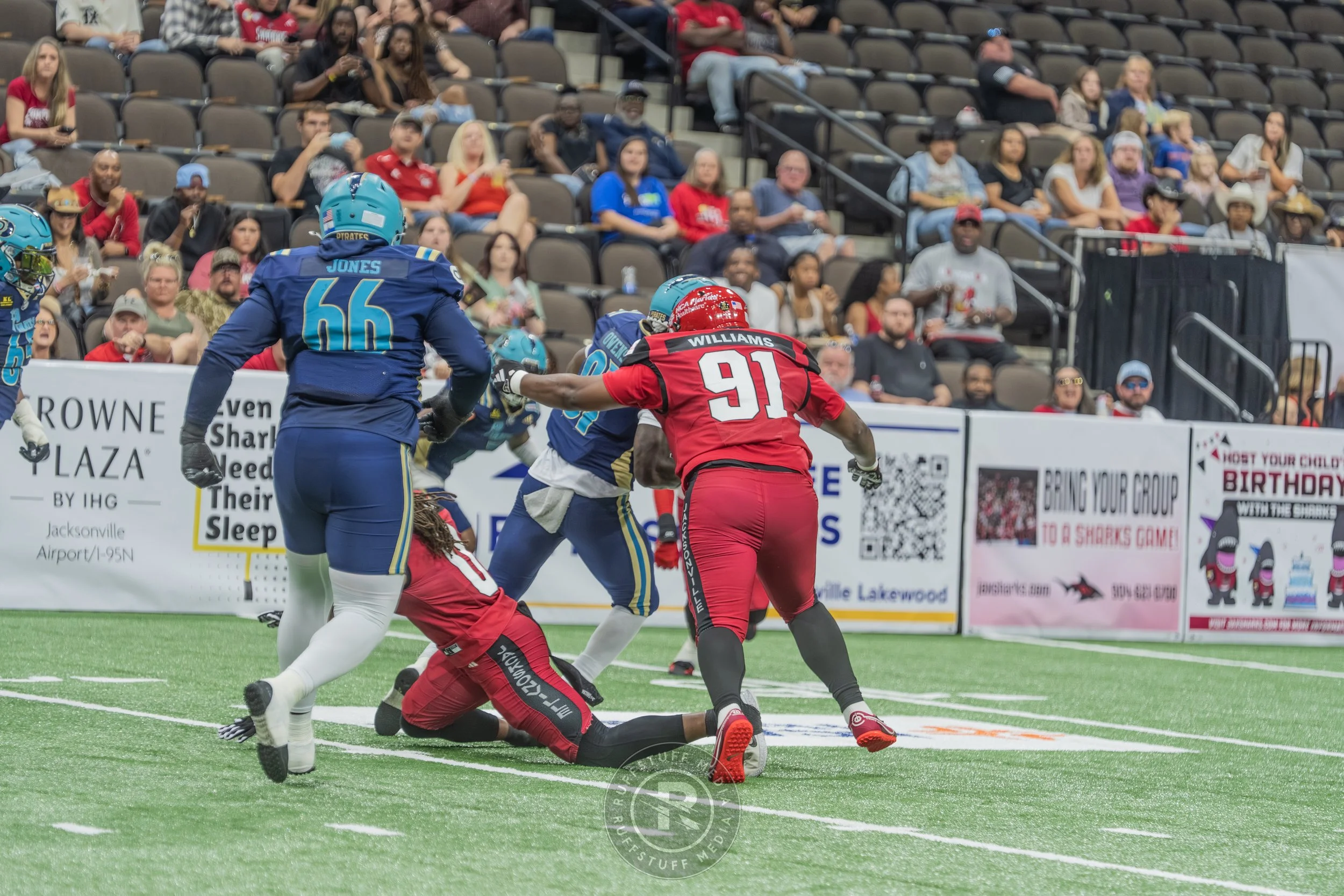 Sharks 260417-354.JPG