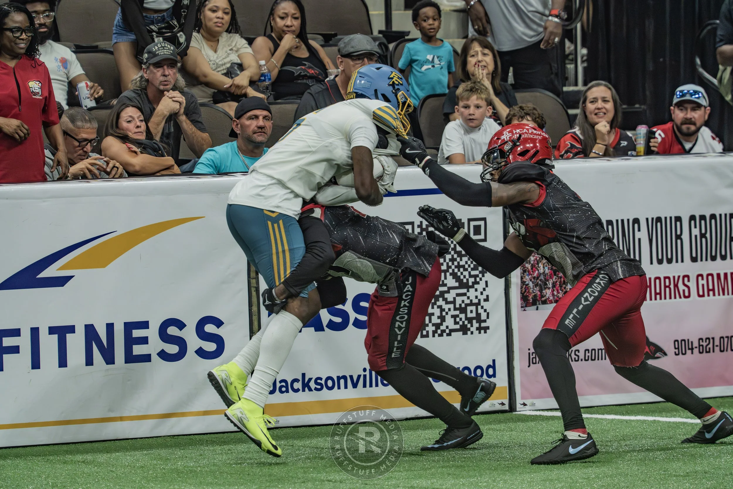 Sharks 260530-551.JPG