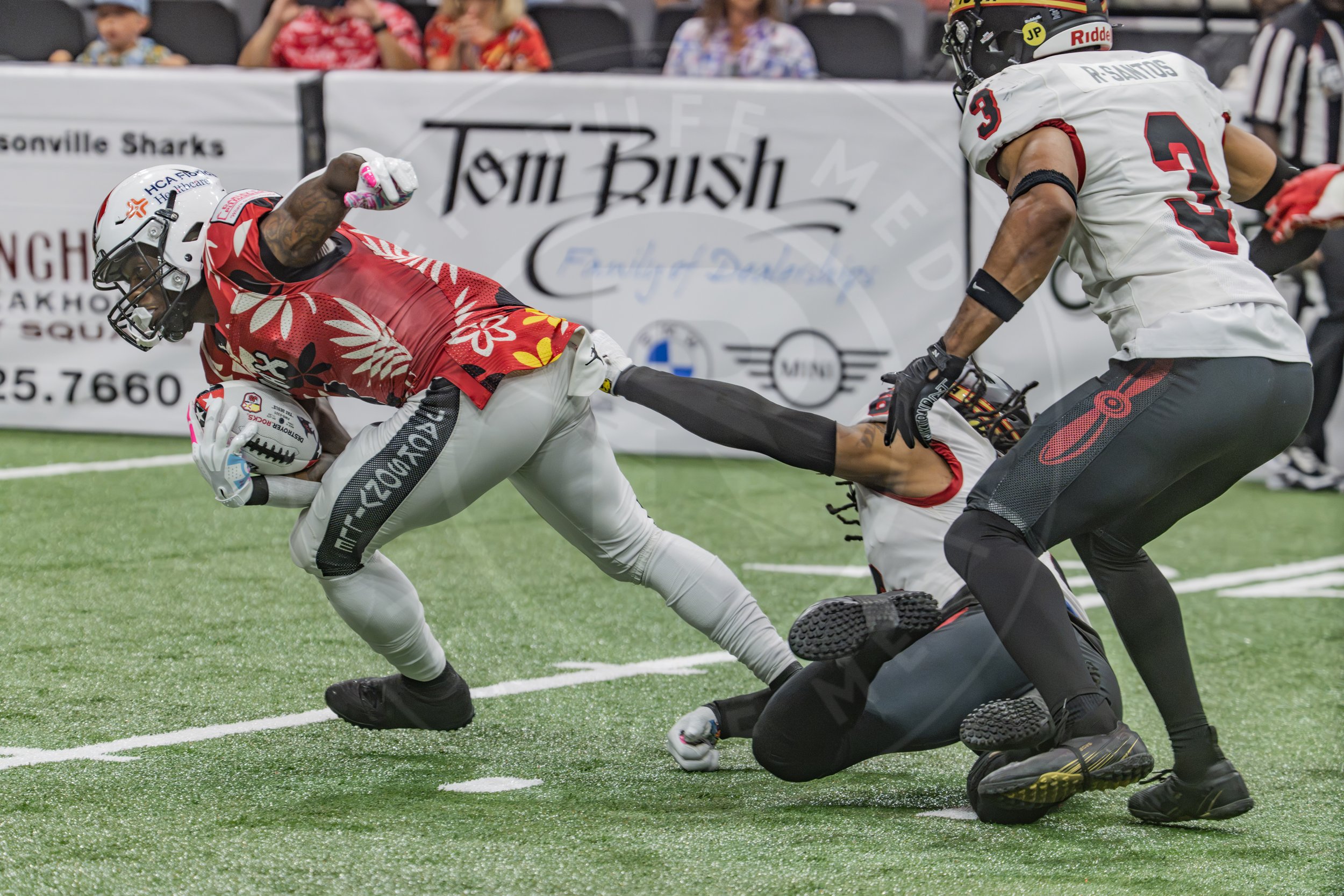 Sharks 260718-107.JPG