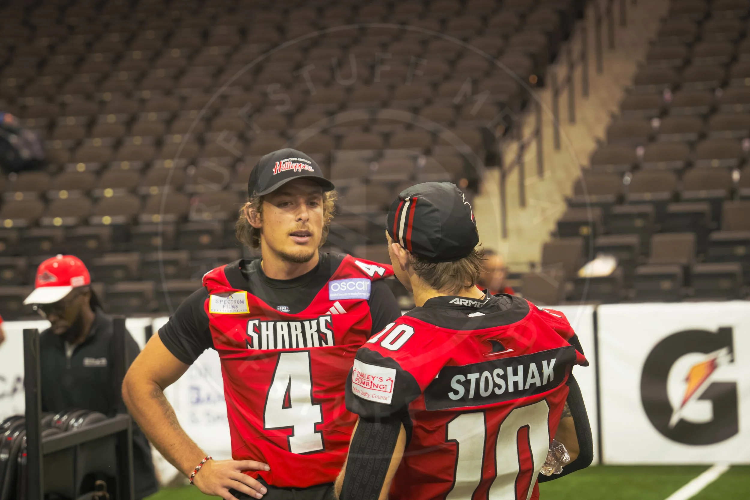 Sharks 260801-183.JPG