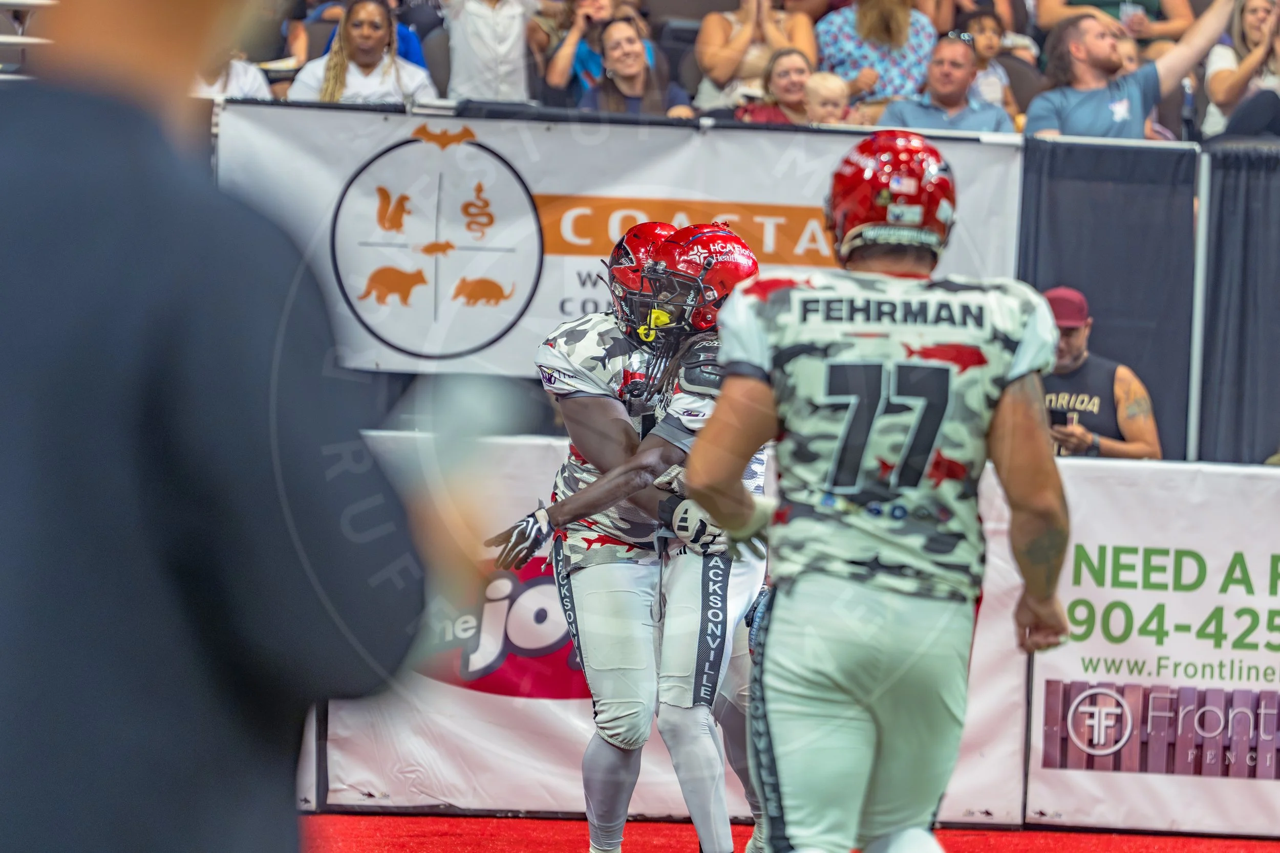 Sharks 260726-103.JPG