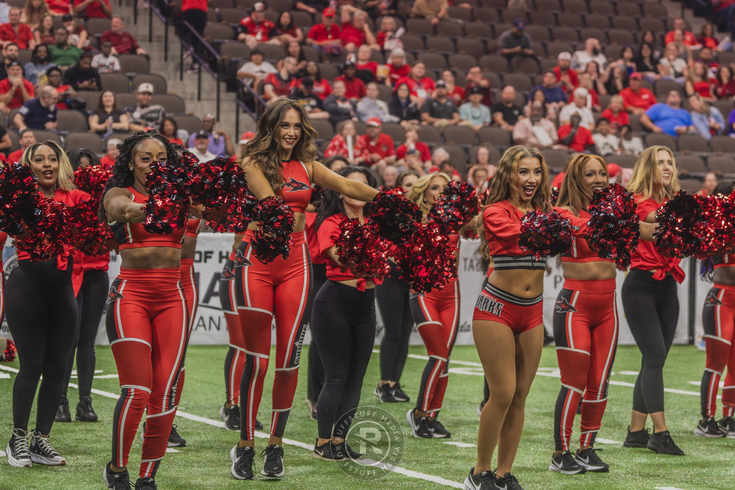 Sharks 260628-282.JPG