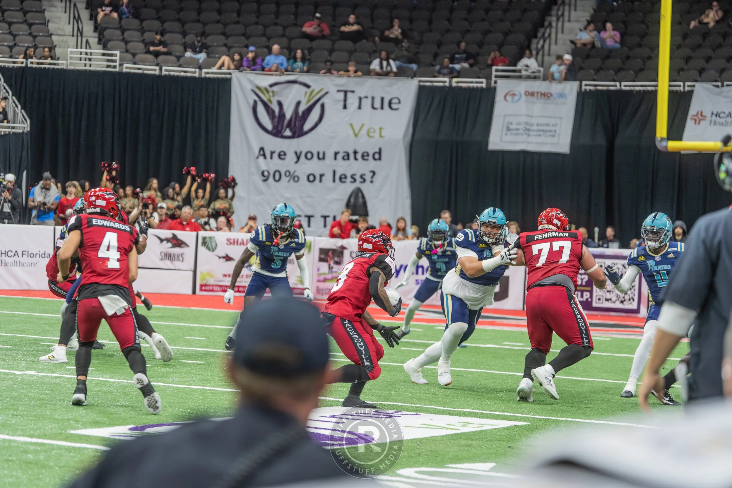 Sharks 260417-501.JPG