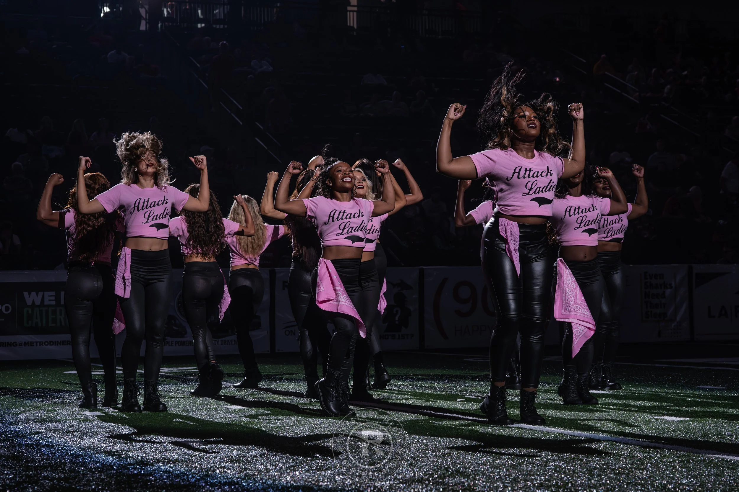 Sharks 260509-315.JPG