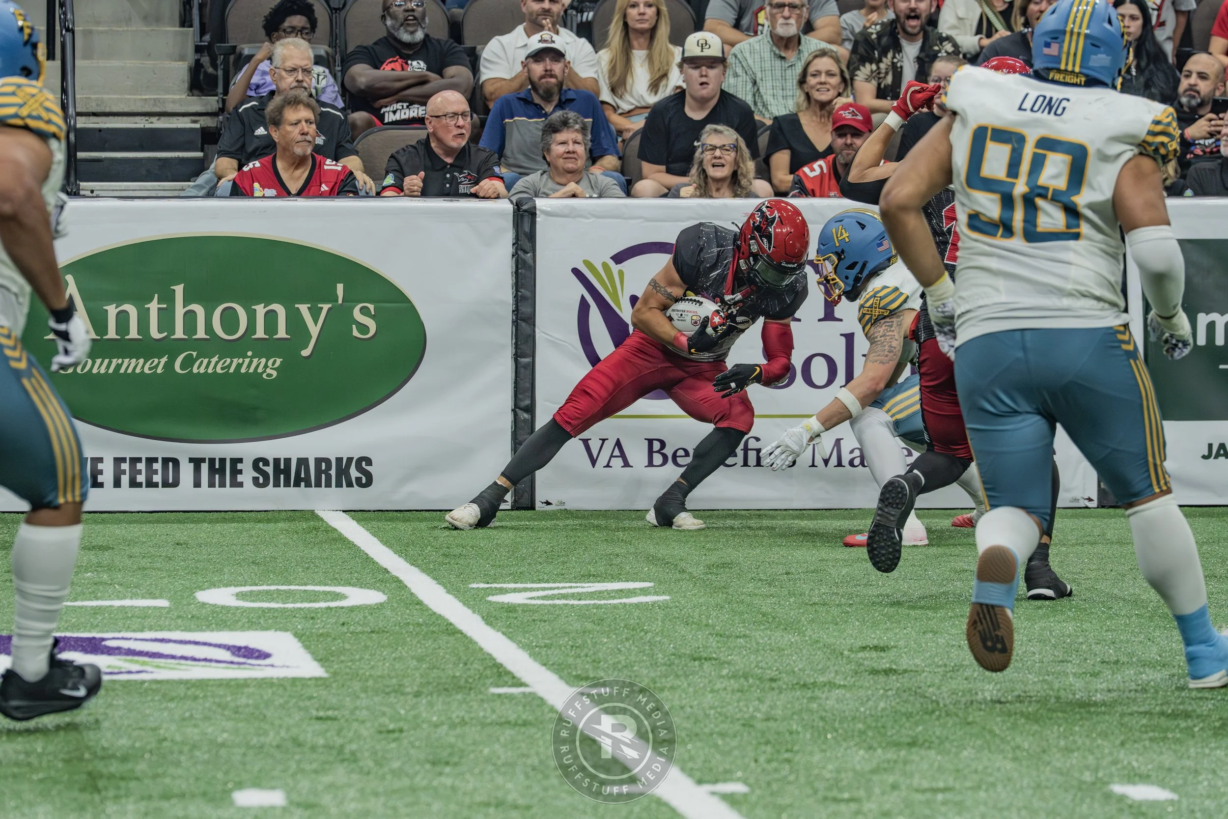 Sharks 260530-298.JPG
