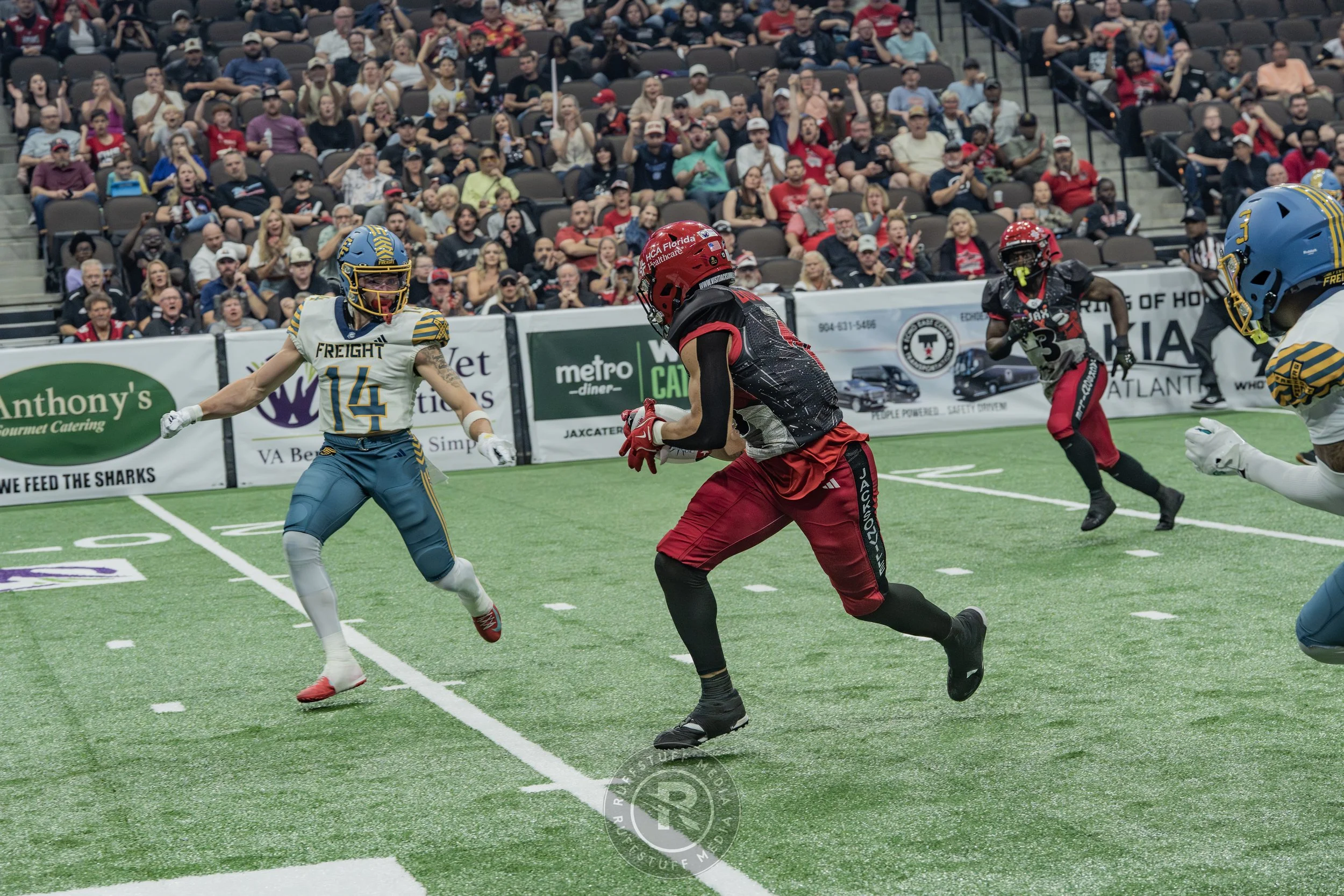 Sharks 260530-187.JPG