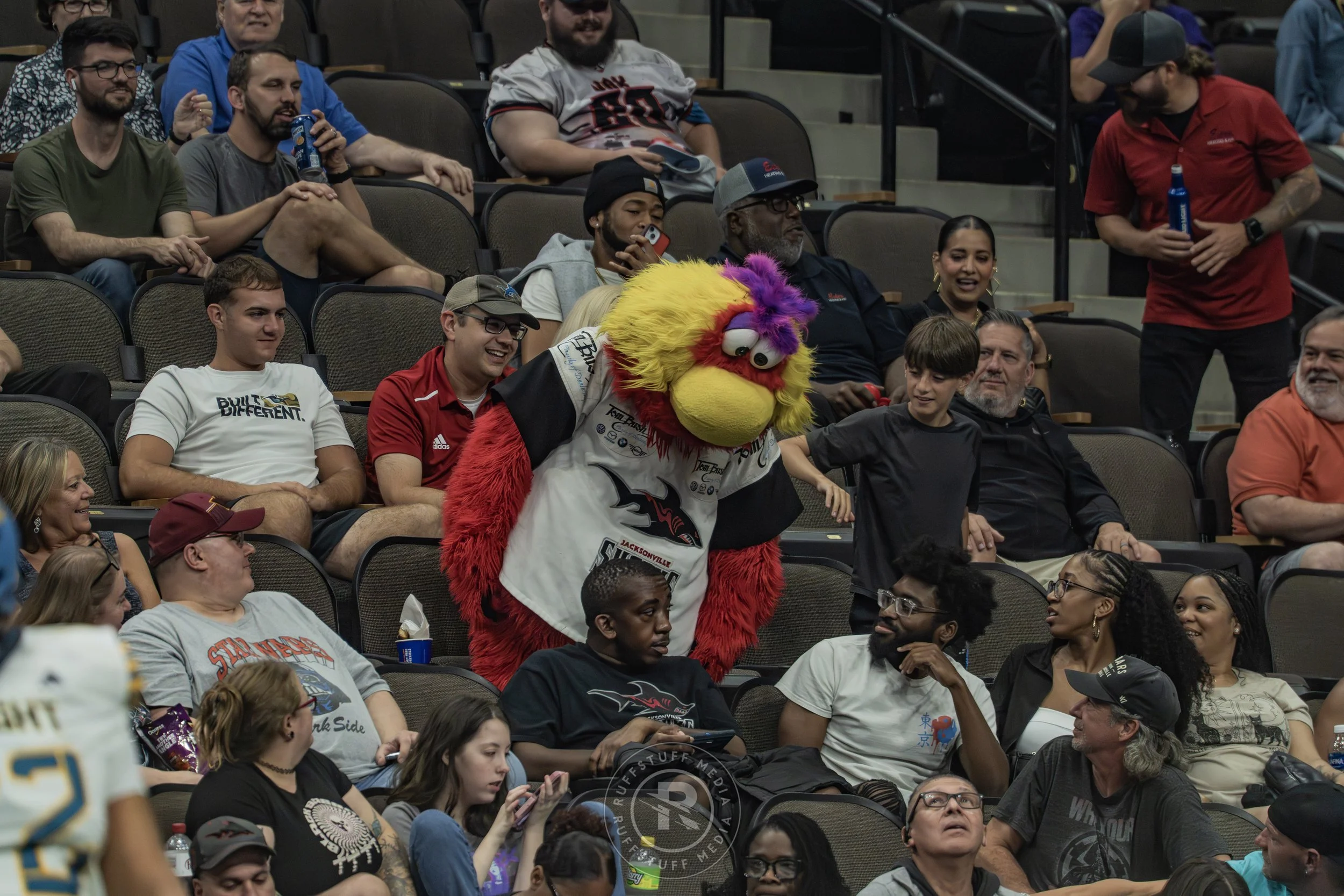 Sharks 260530-560.JPG