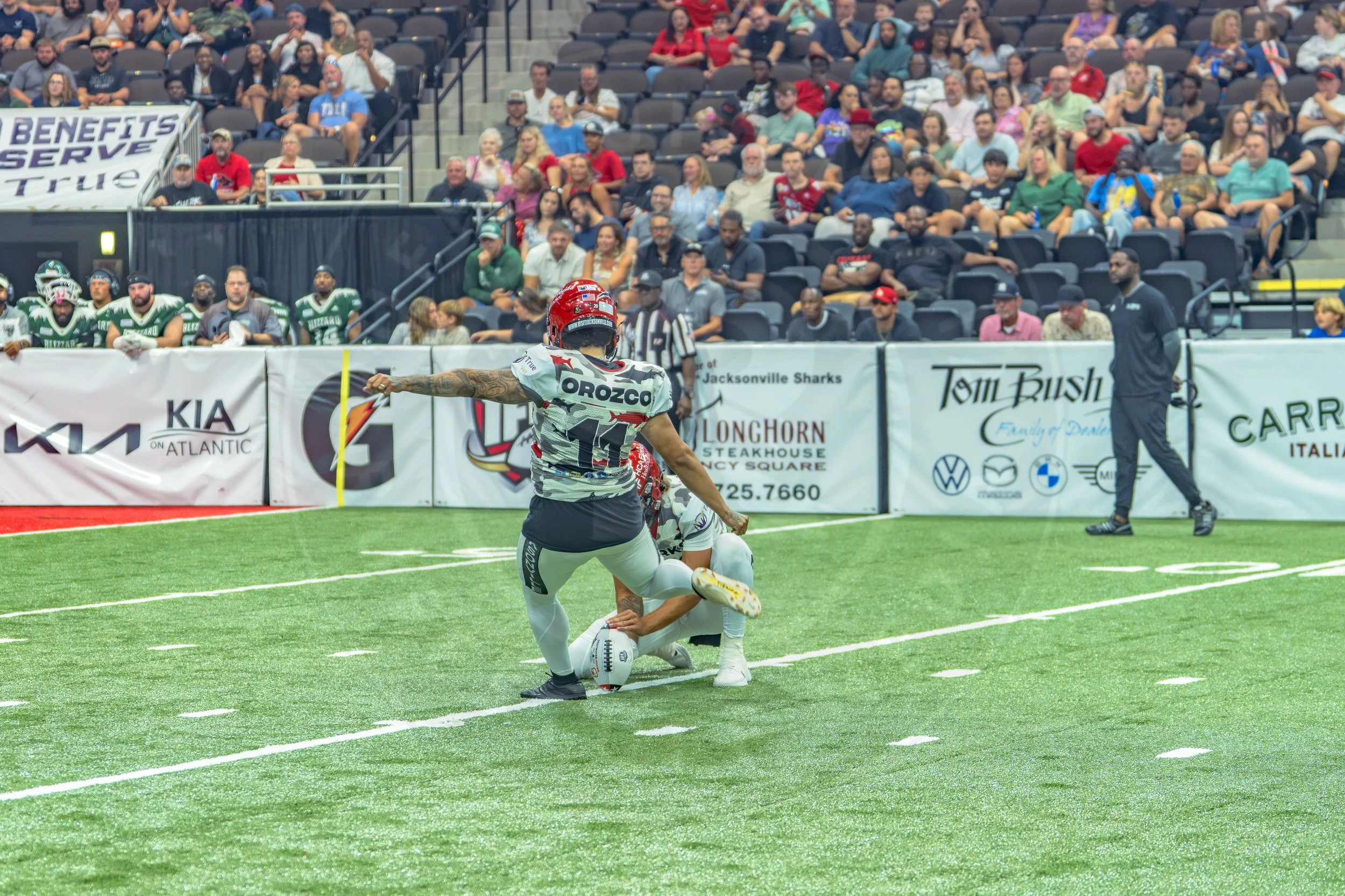 Sharks 260726-76.JPG