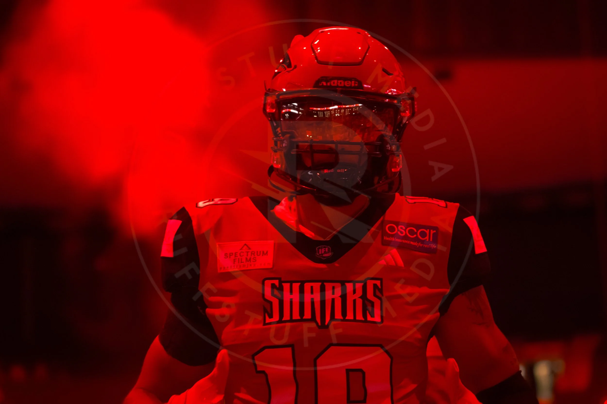 Sharks 260801-50.JPG