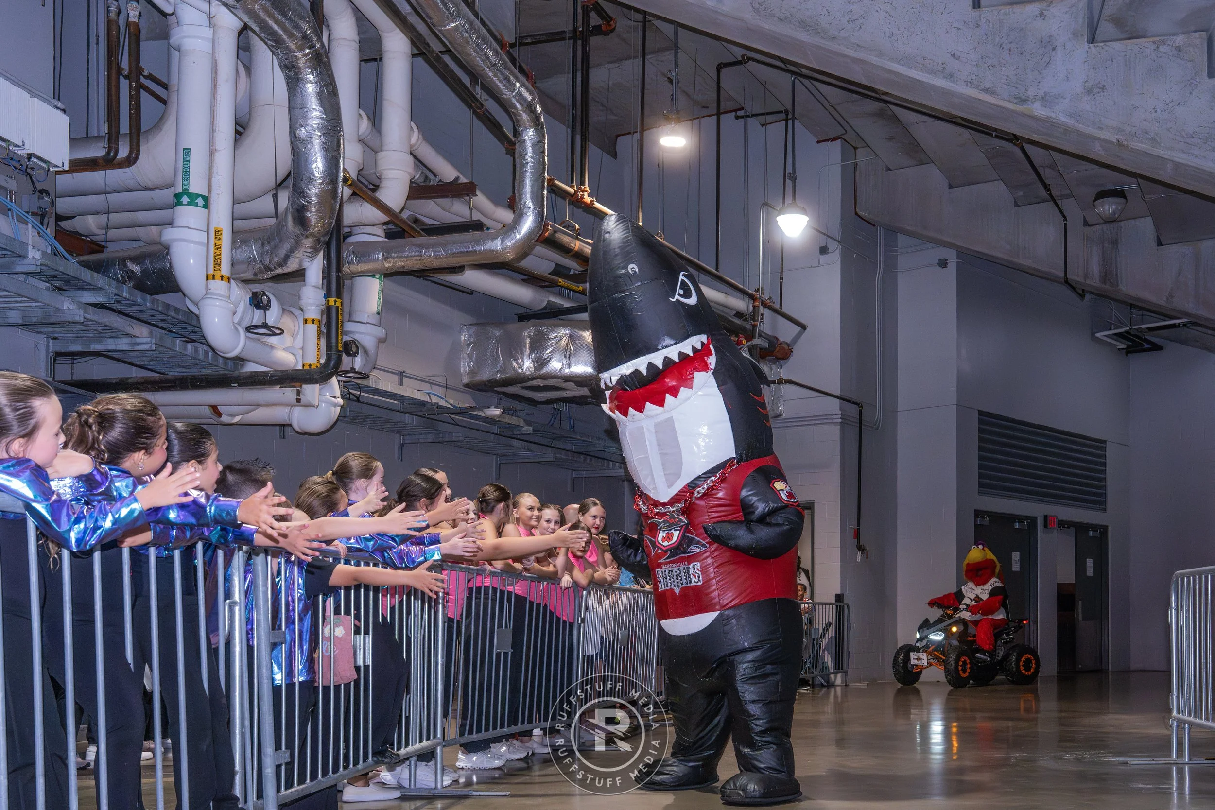 Sharks 260502-32_resize.JPG