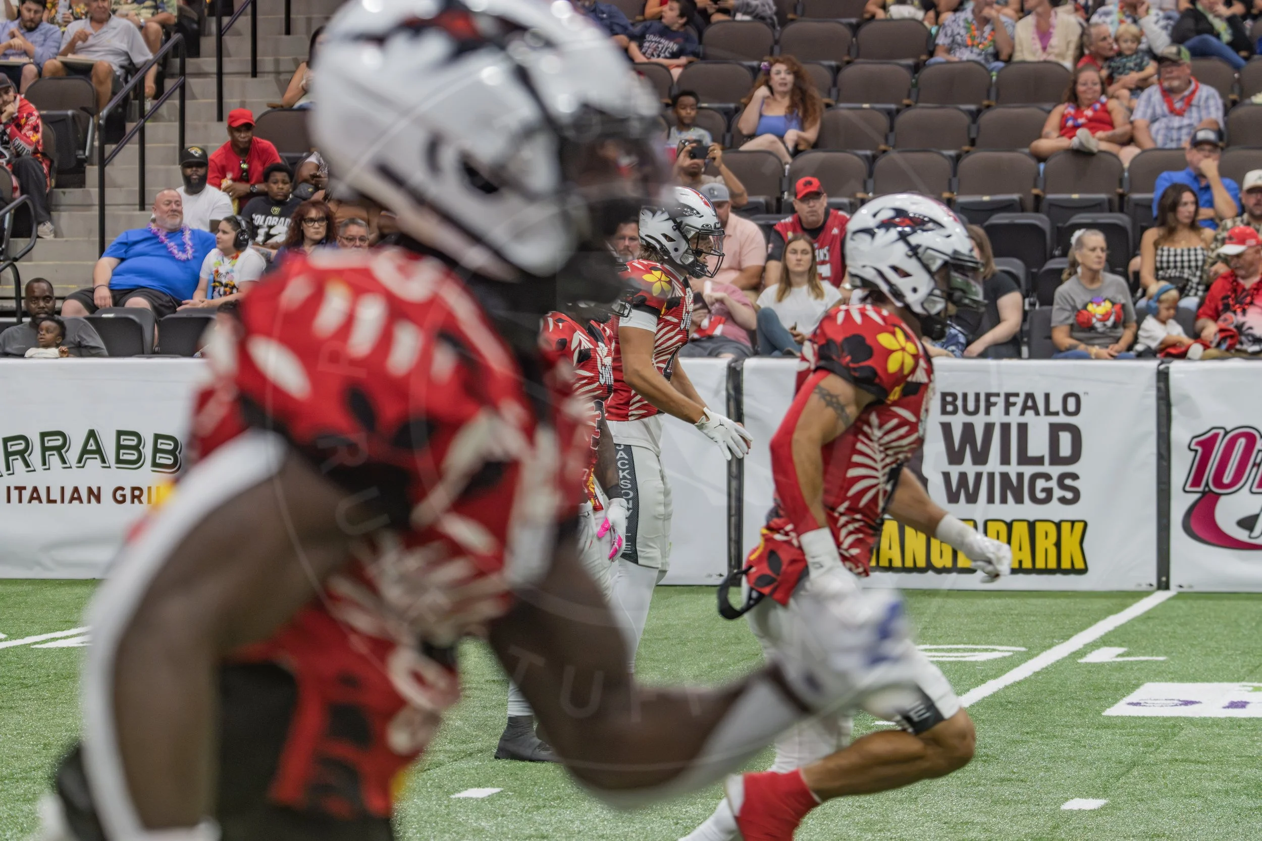 Sharks 260718-163.JPG
