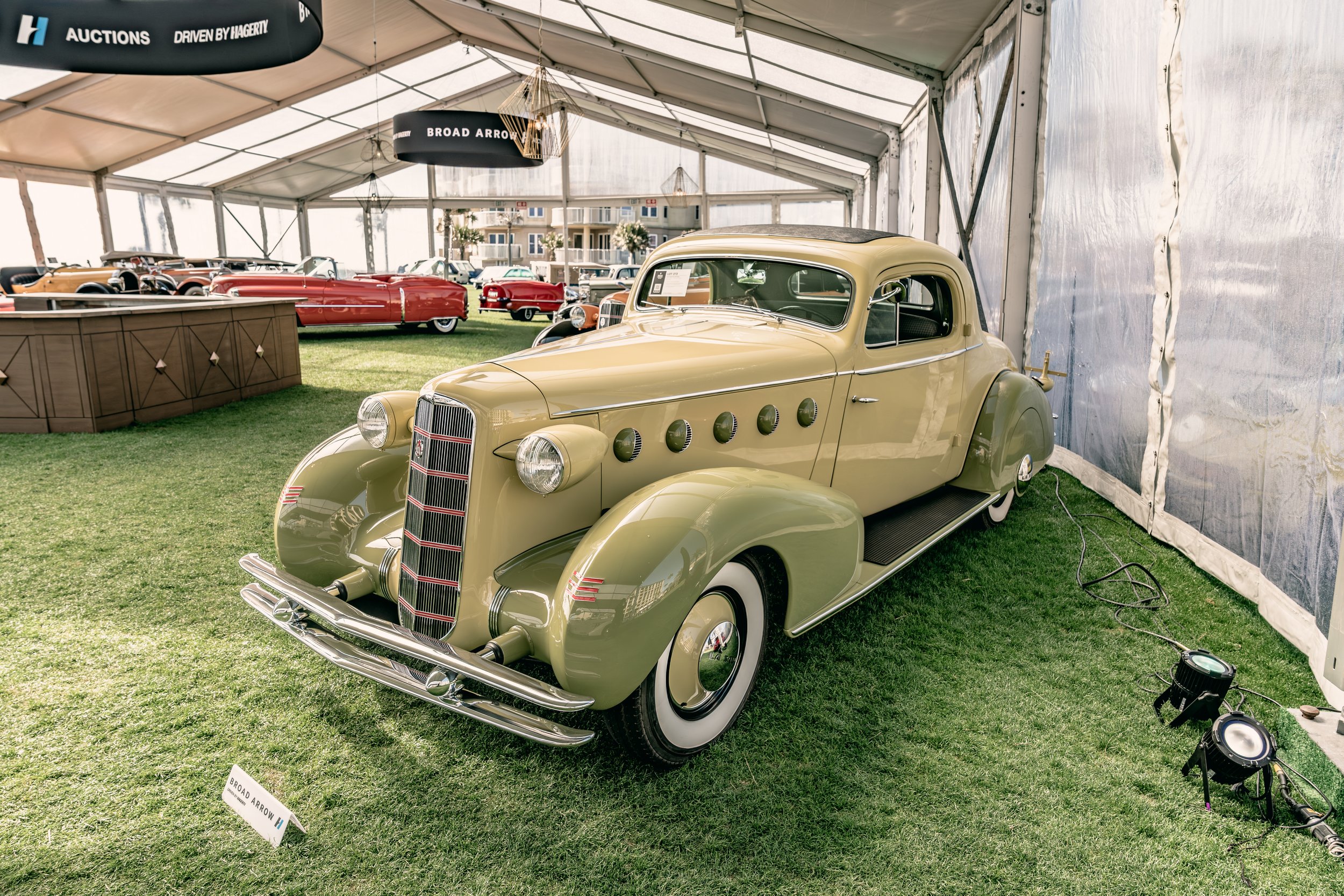 IG-Amelia 260305-12_resize.JPG