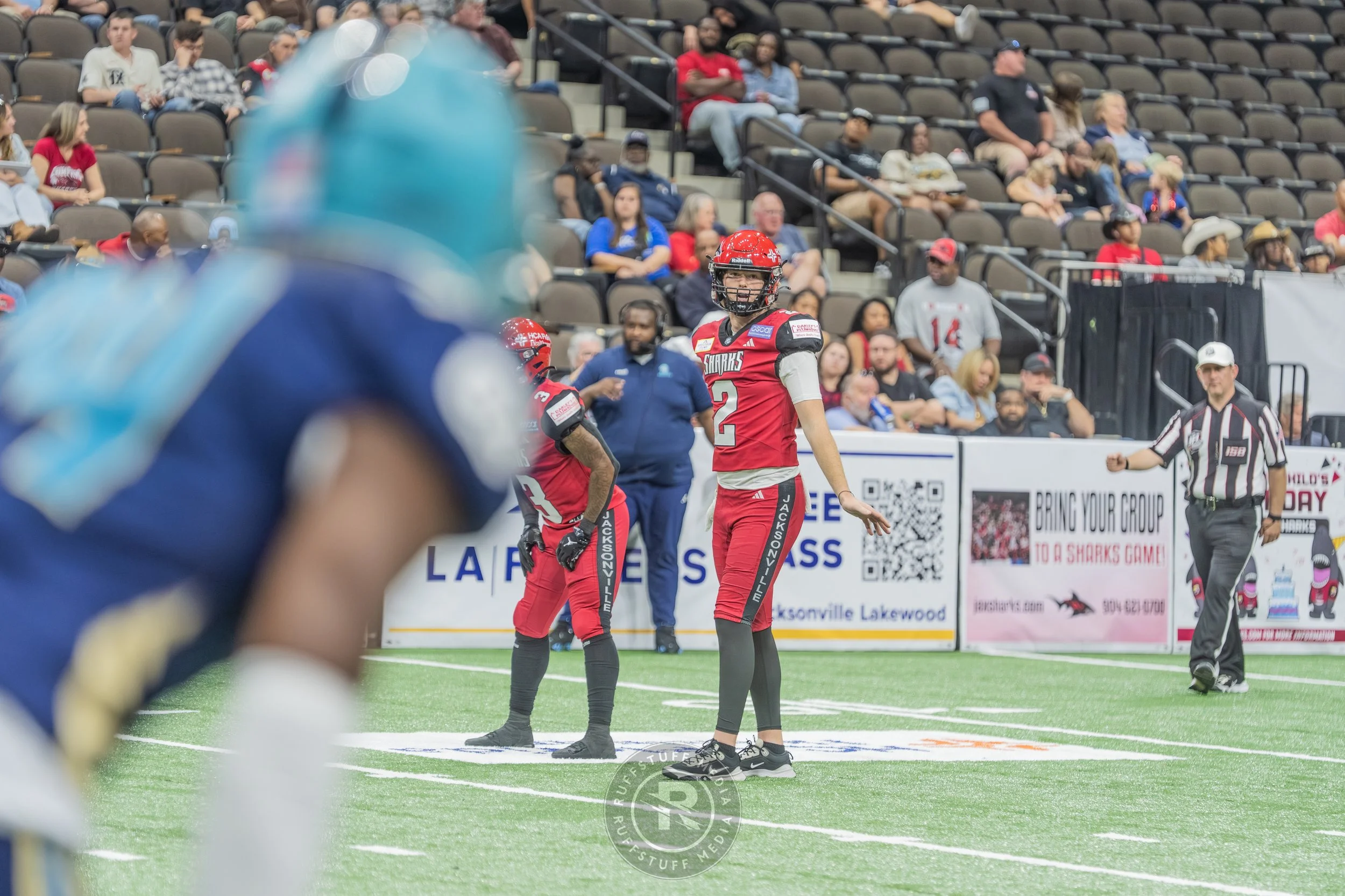 Sharks 260417-429_resize.JPG