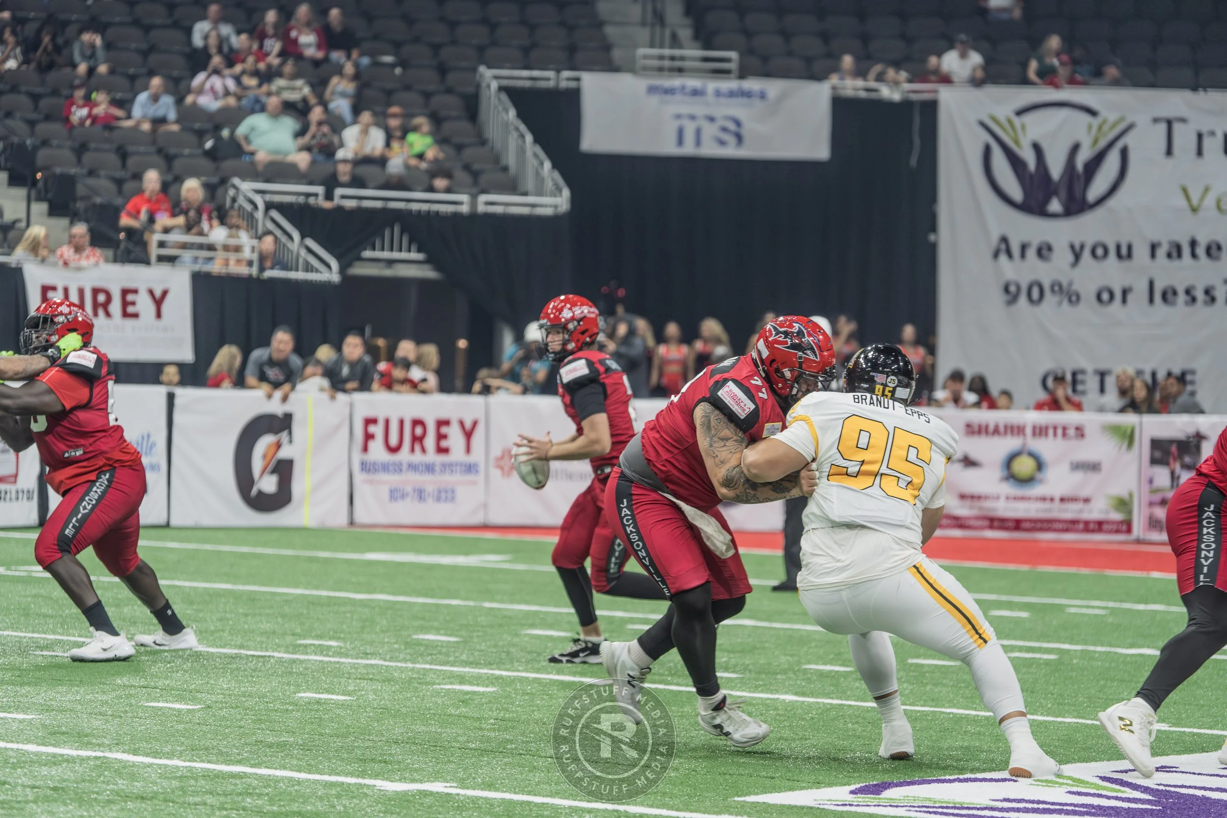 Sharks 260509-88.JPG