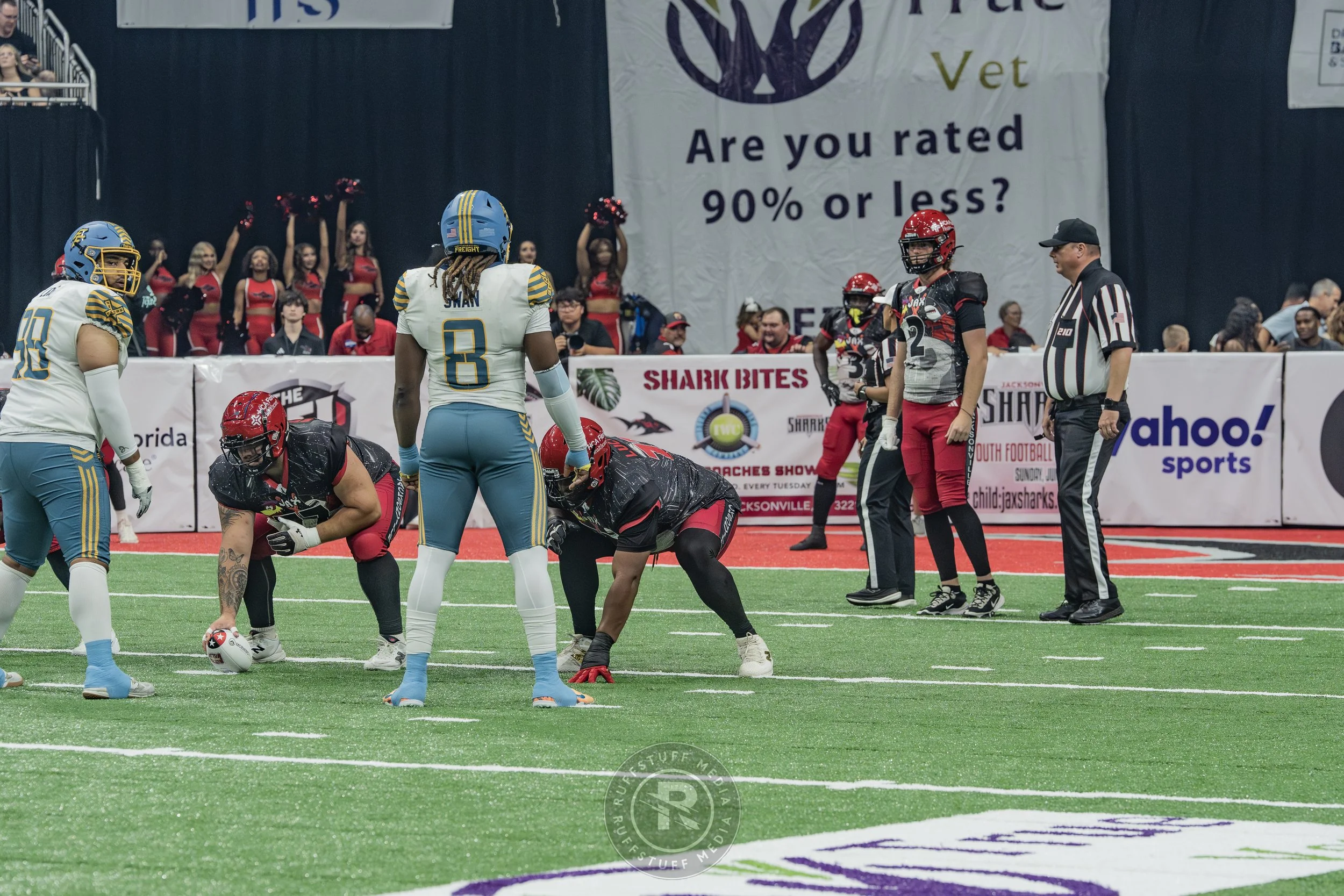 Sharks 260530-177.JPG