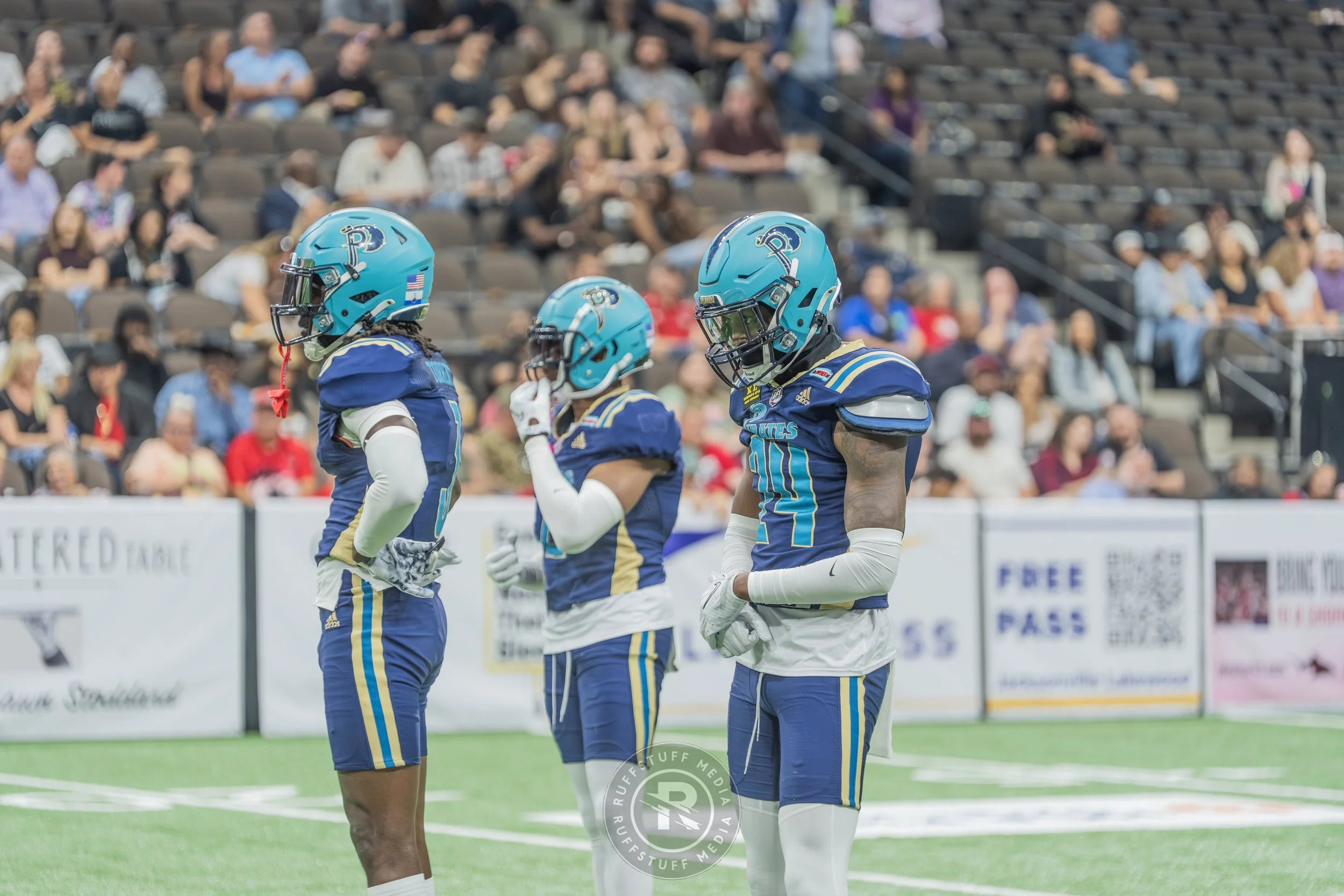 Sharks 260417-214.JPG