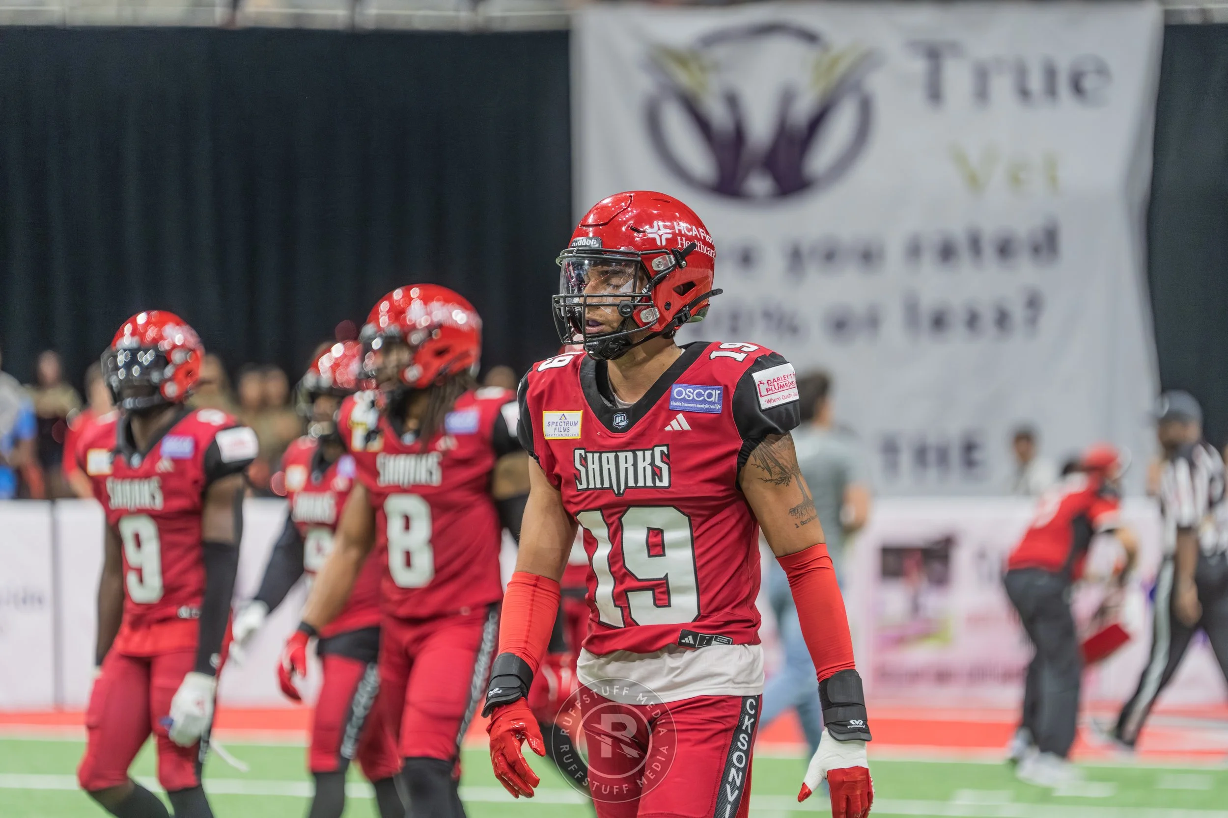 Sharks 260417-408.JPG